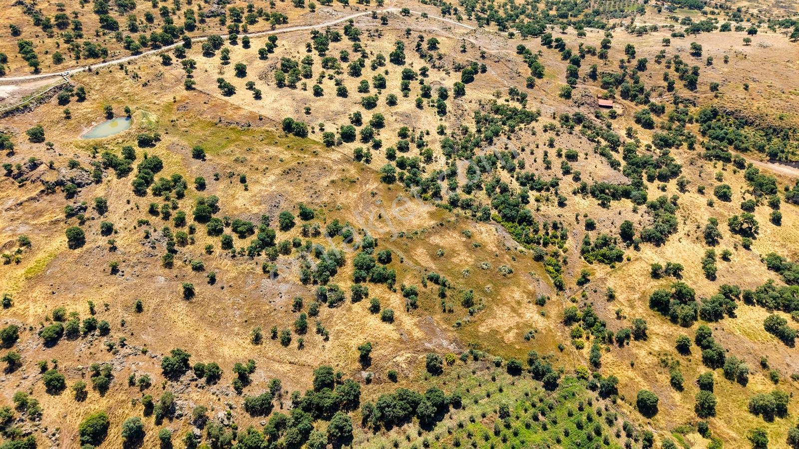 Dikili Kızılçukur'da 17.446 M2 Satılık Tarla - Görsel 35