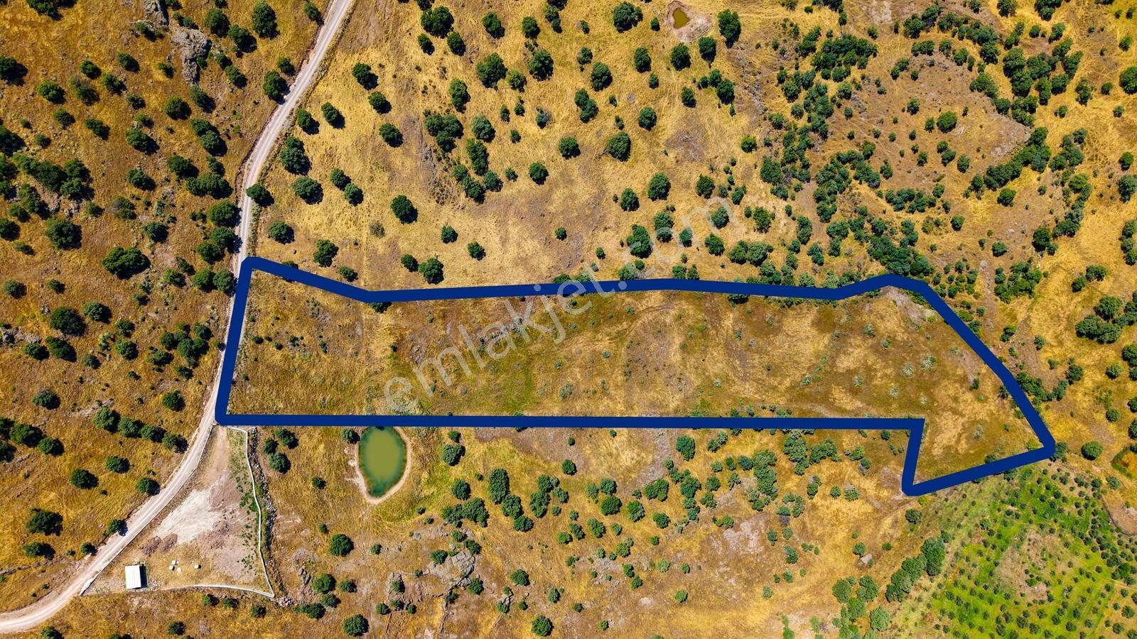 Dikili Kızılçukur'da 17.446 M2 Satılık Tarla - Görsel 23