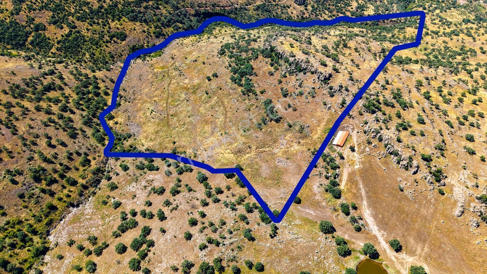 Dikili Kızılçukur'da 150 Dönüm Satılık Tarla - Görsel 13