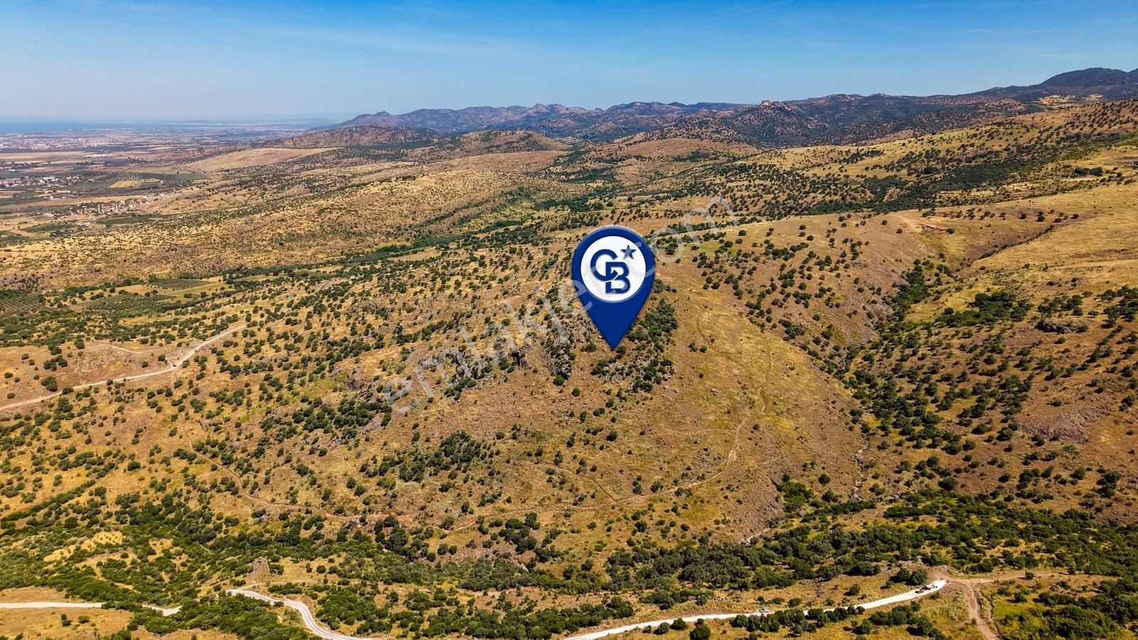 Dikili Kızılçukur'da 150 Dönüm Satılık Tarla - Görsel 24