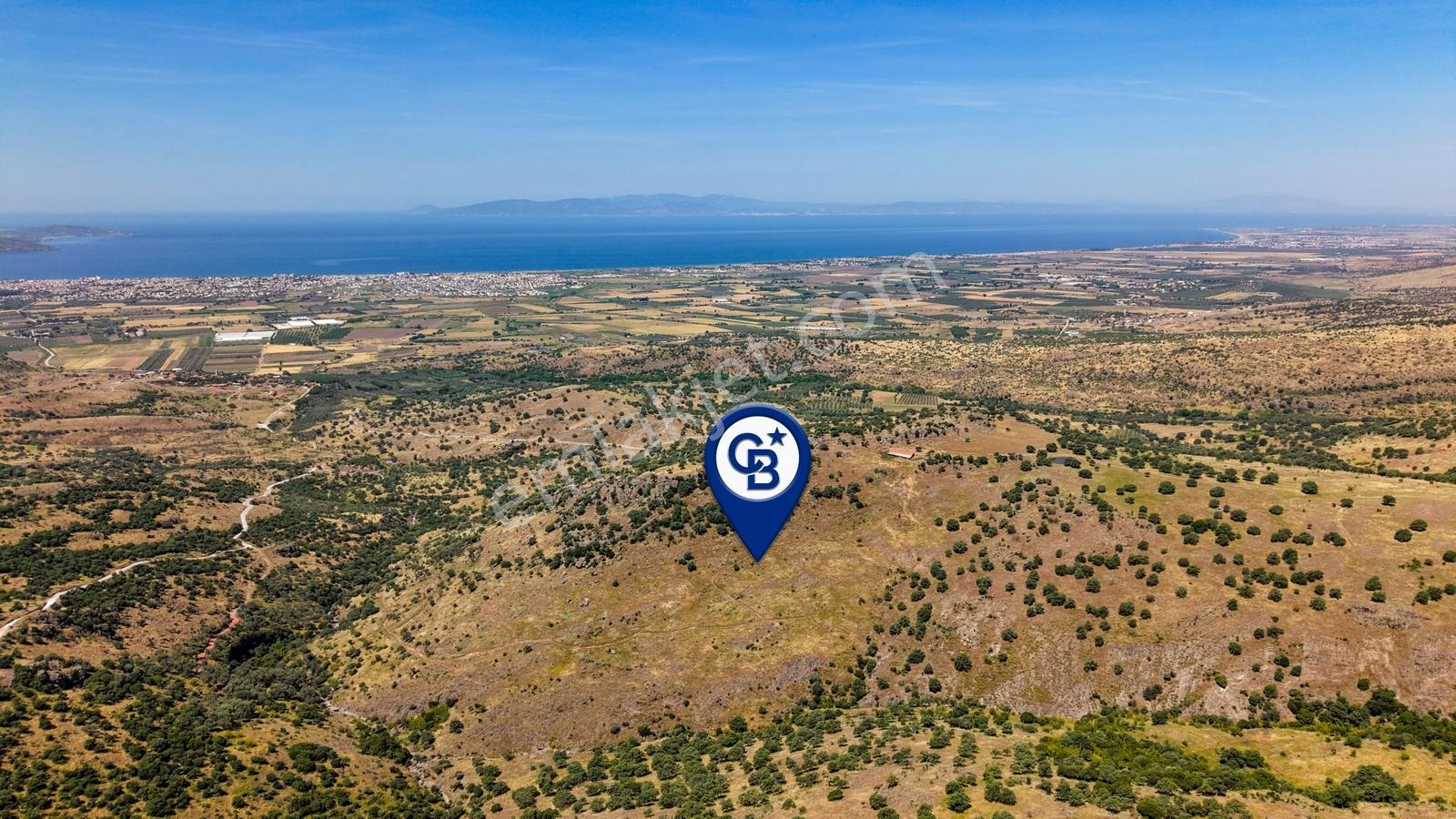 Dikili Kızılçukur'da 150 Dönüm Satılık Tarla - Görsel 11