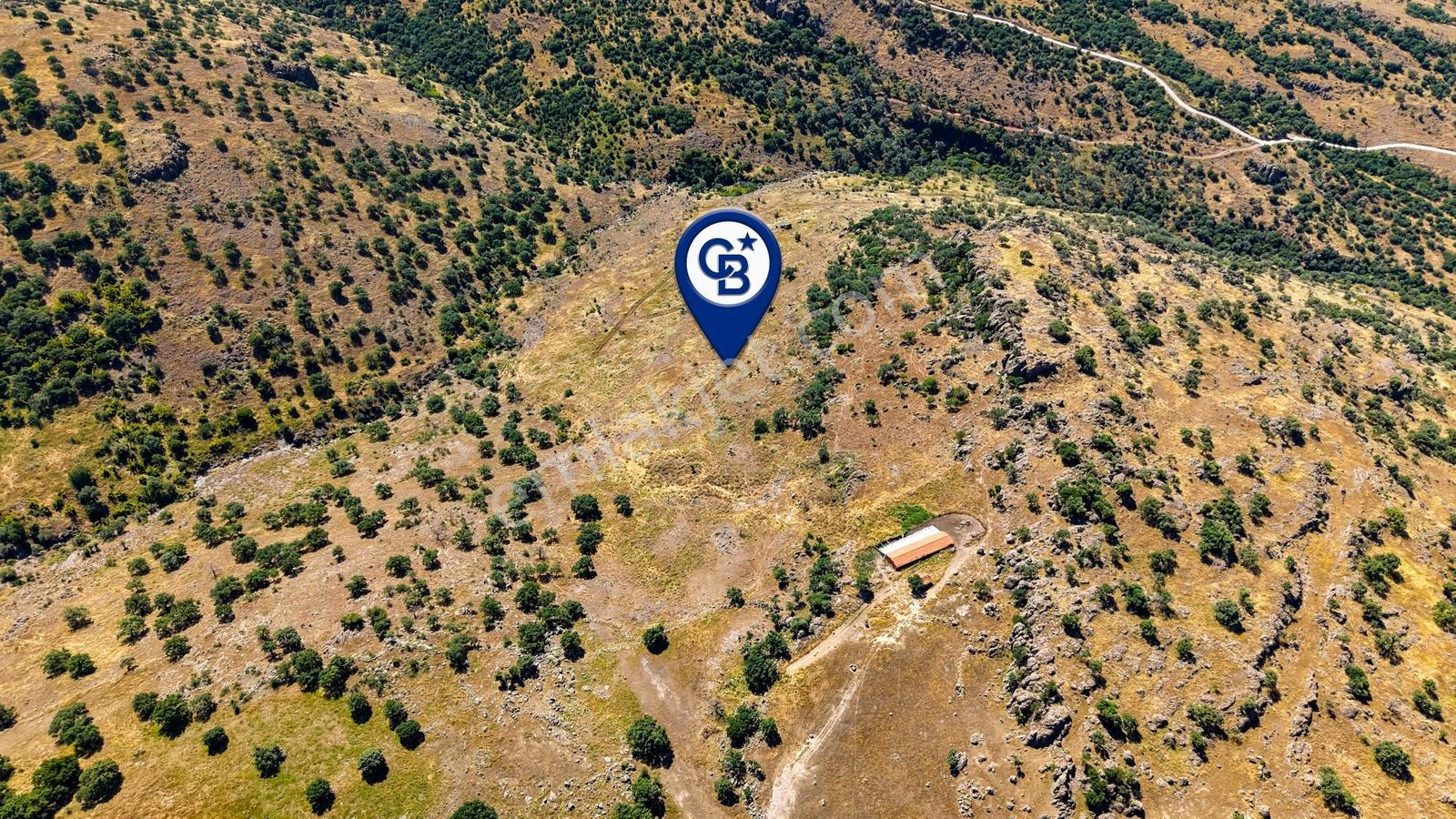 Dikili Kızılçukur'da 150 Dönüm Satılık Tarla - Görsel 5