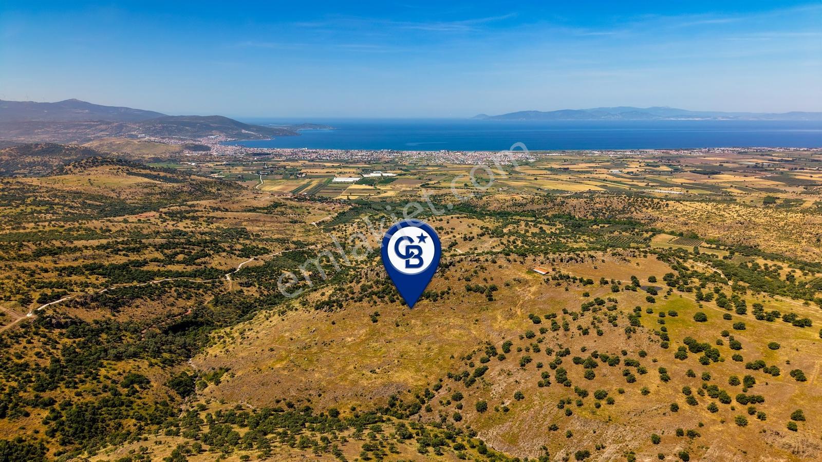 Dikili Kızılçukur'da 150 Dönüm Satılık Tarla - Görsel 33