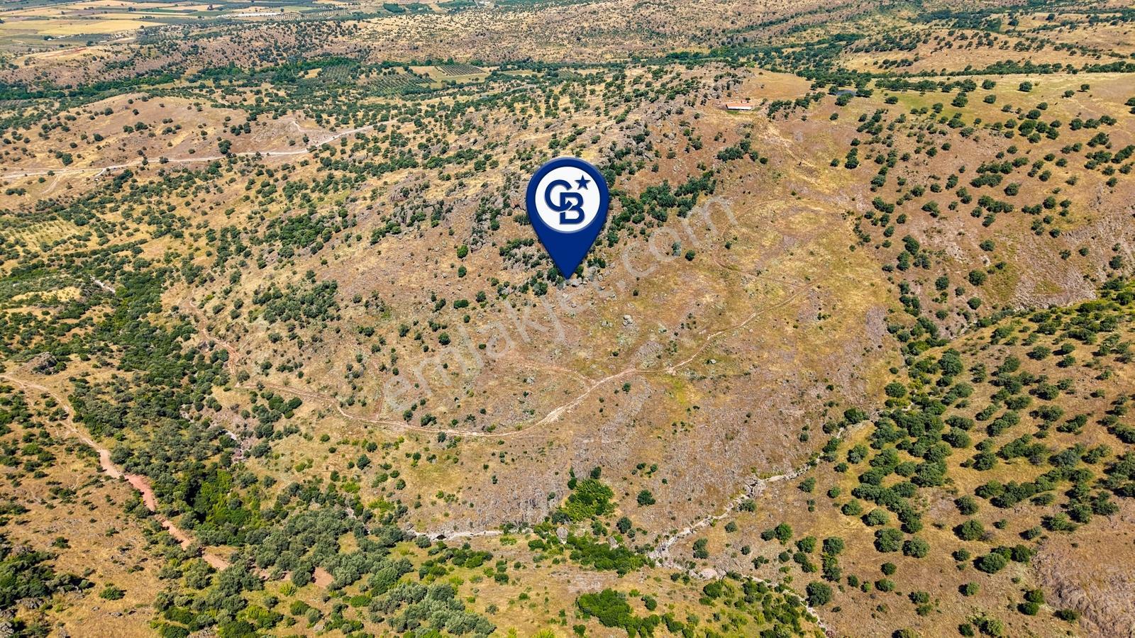 Dikili Kızılçukur'da 150 Dönüm Satılık Tarla - Görsel 22