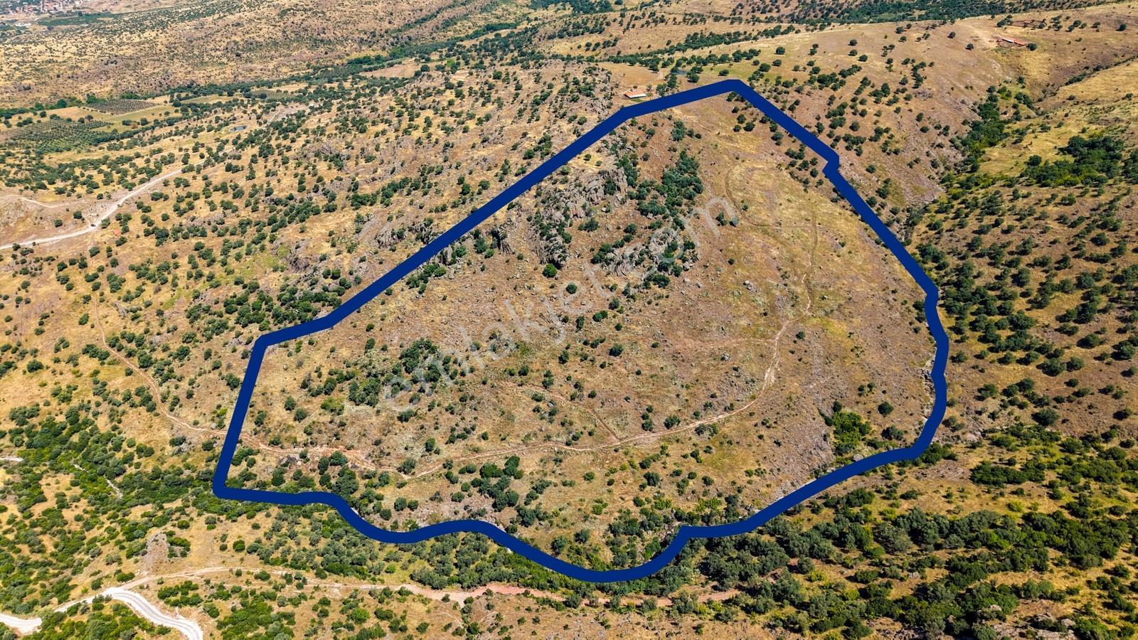 Dikili Kızılçukur'da 150 Dönüm Satılık Tarla - Görsel 31