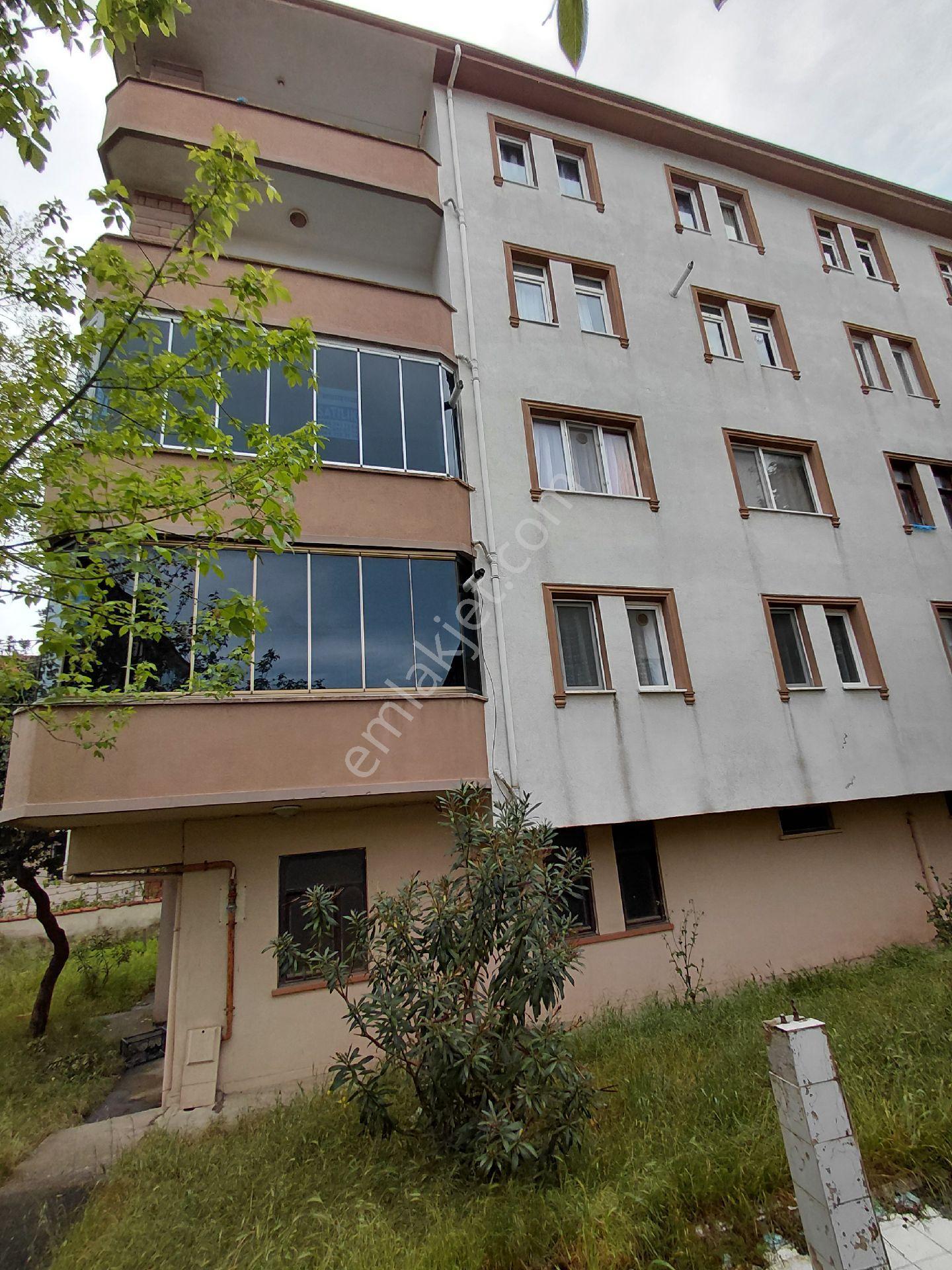 Karasu Denize 50 Metre Bu Fiyata