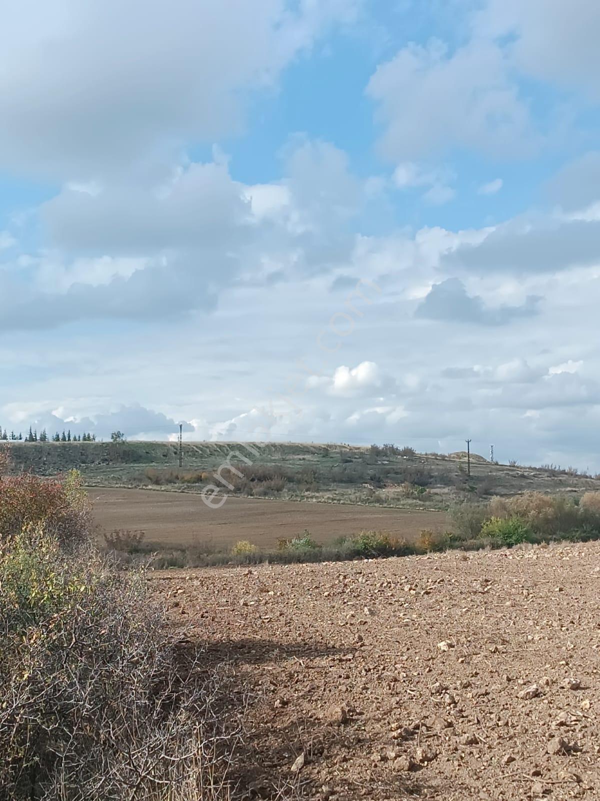 Şehir Merkezine Yakın Haticehatunda Satılık 1.700 M2 Tarla - Görsel 6