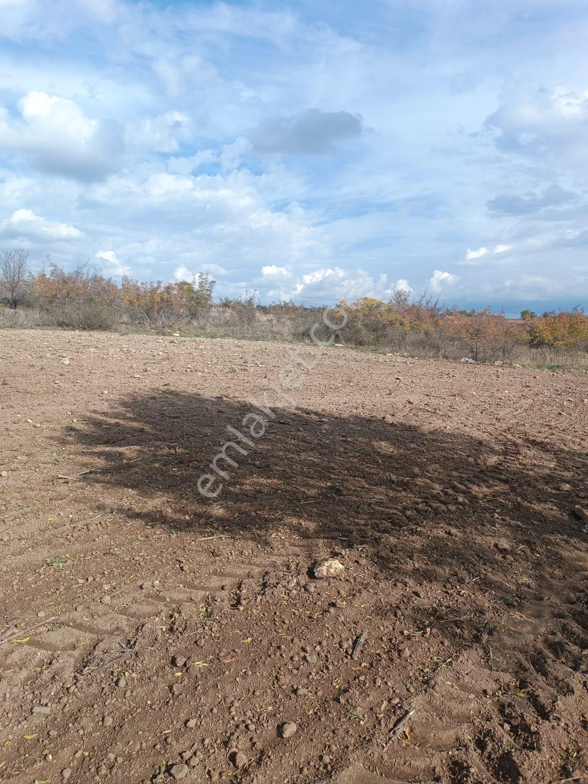 Şehir Merkezine Yakın Haticehatunda Satılık 1.700 M2 Tarla - Görsel 3
