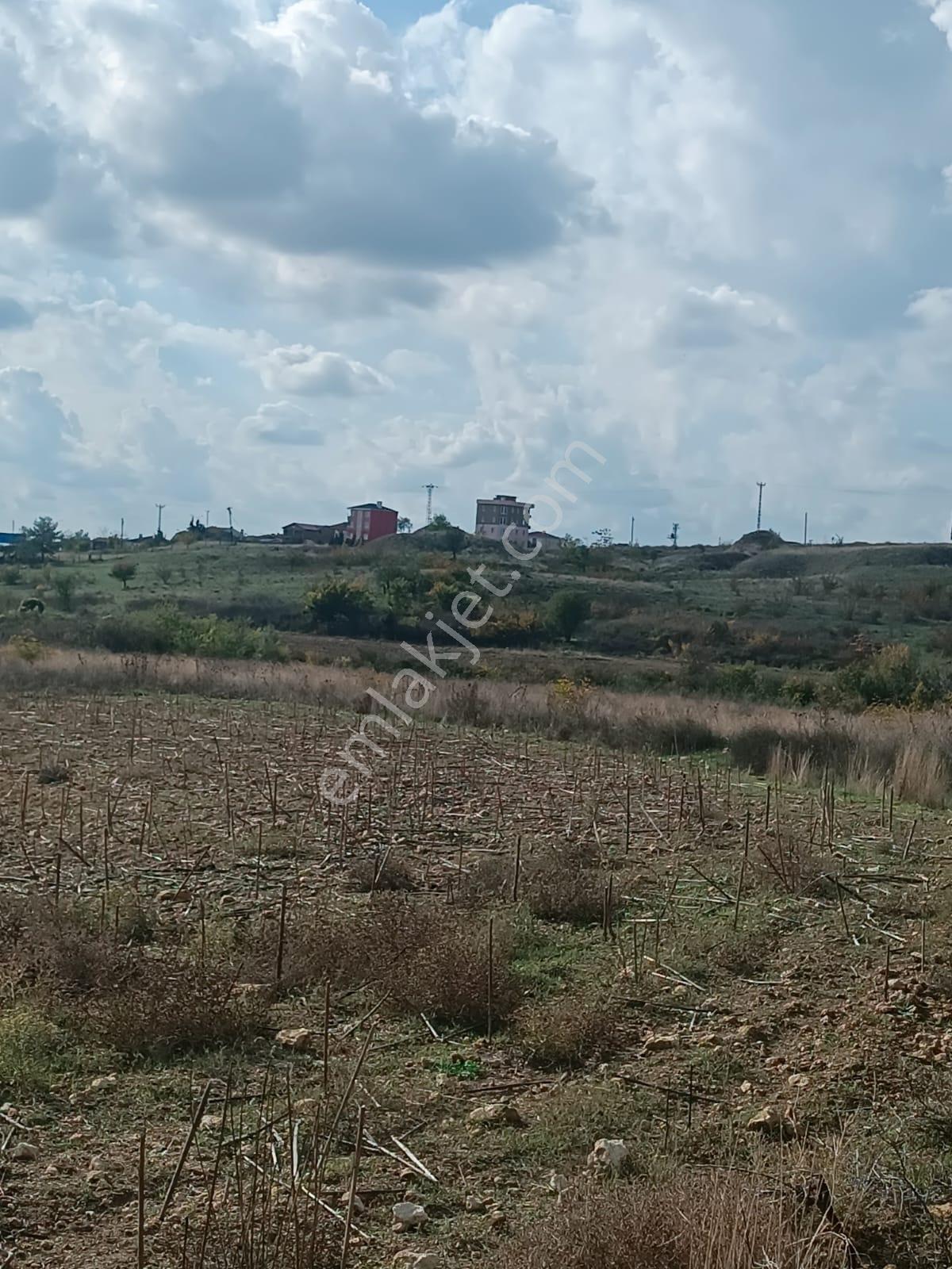 Şehir Merkezine Yakın Haticehatunda Satılık 1.700 M2 Tarla - Görsel 2