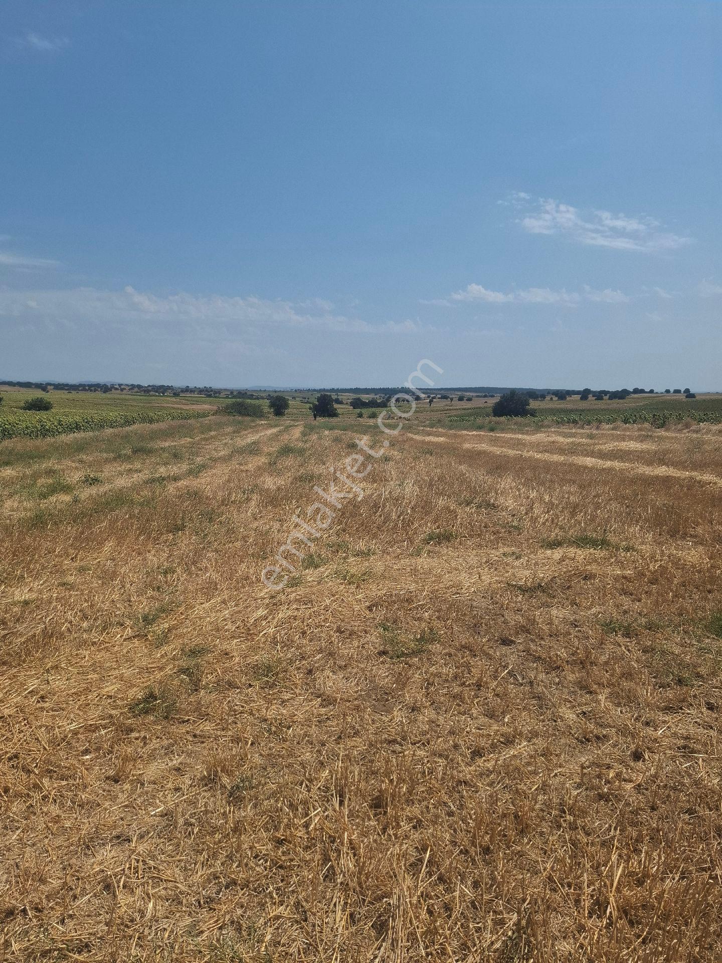Edirne Enez Büyükevren De Satılık Tarla Denize 7 Dk Köye 5 Dk Mesafede - Görsel 2