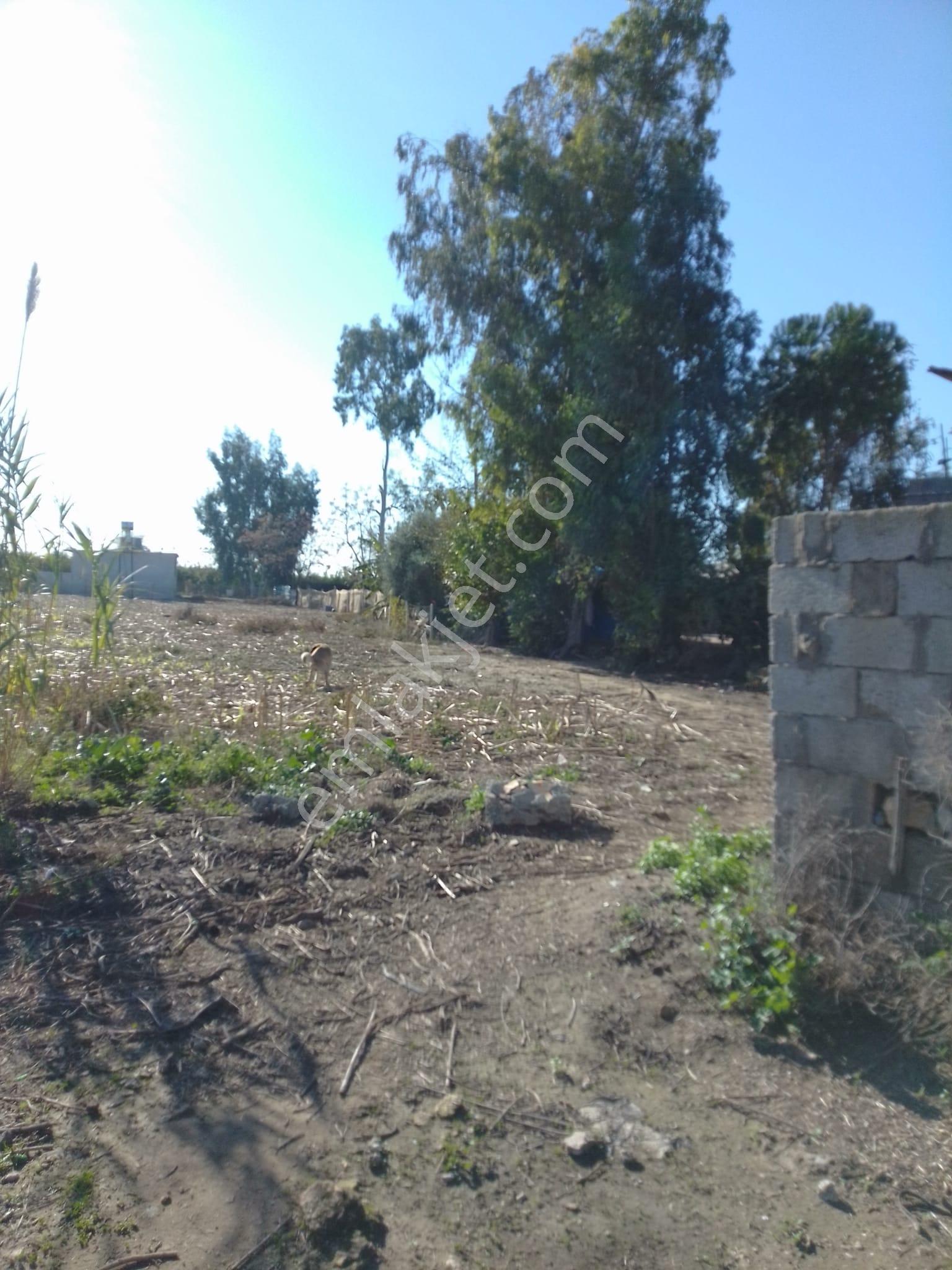 Karataş Yassıveren Mahallesin'de 5.790 M2 Satılık Arsa... - Görsel 19