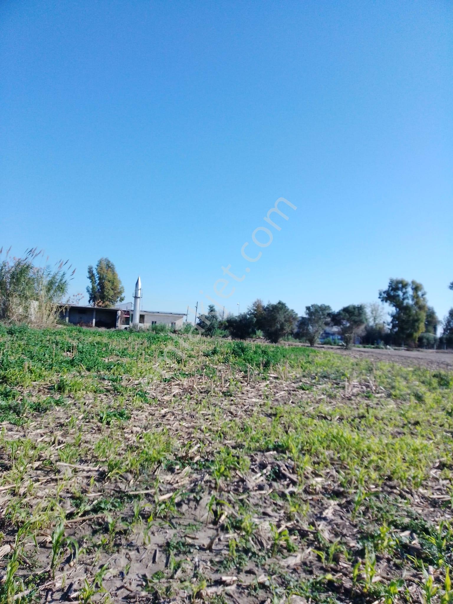 Karataş Yassıveren Mahallesin'de 5.790 M2 Satılık Arsa... - Görsel 18