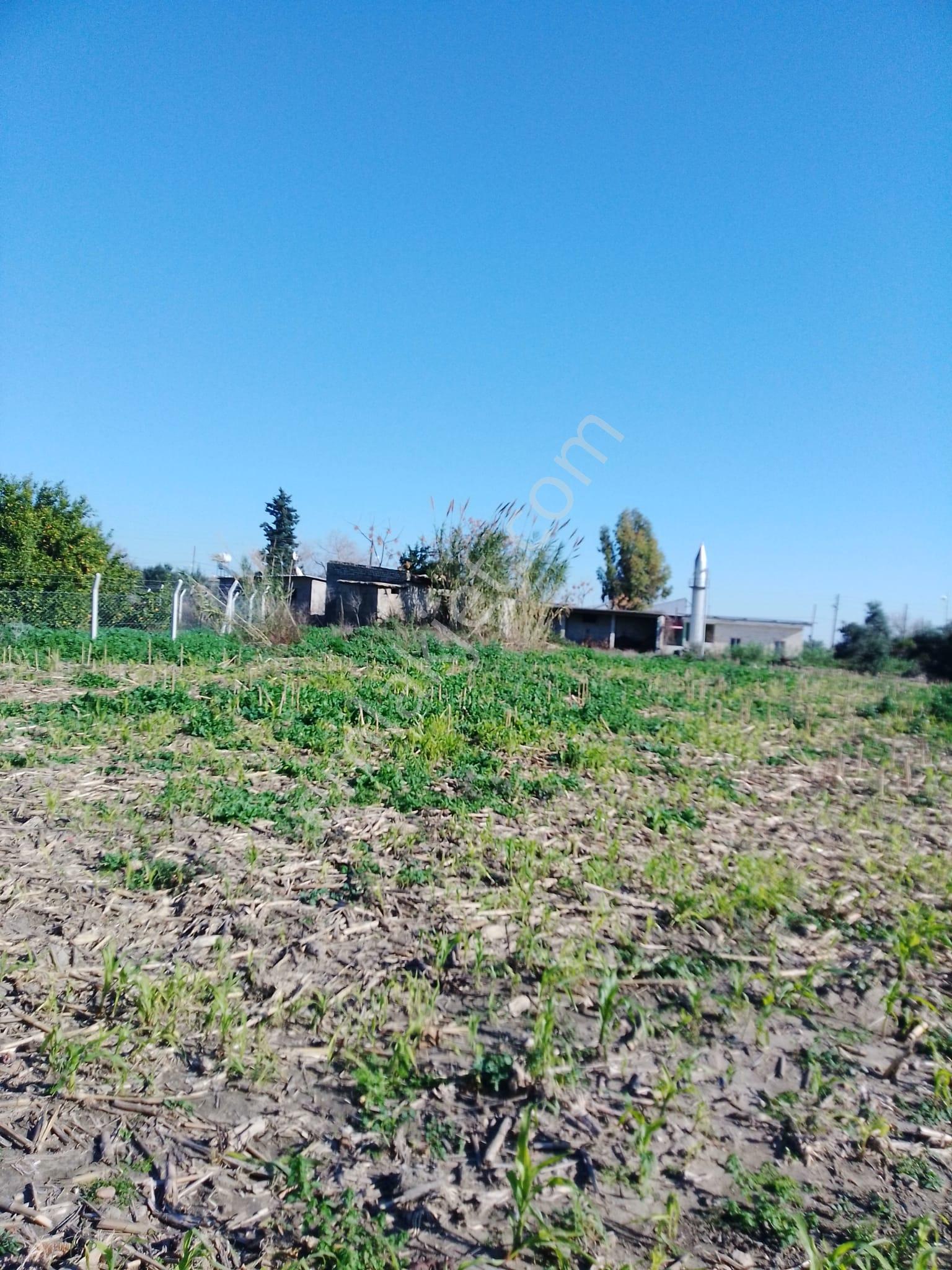 Karataş Yassıveren Mahallesin'de 5.790 M2 Satılık Arsa... - Görsel 16