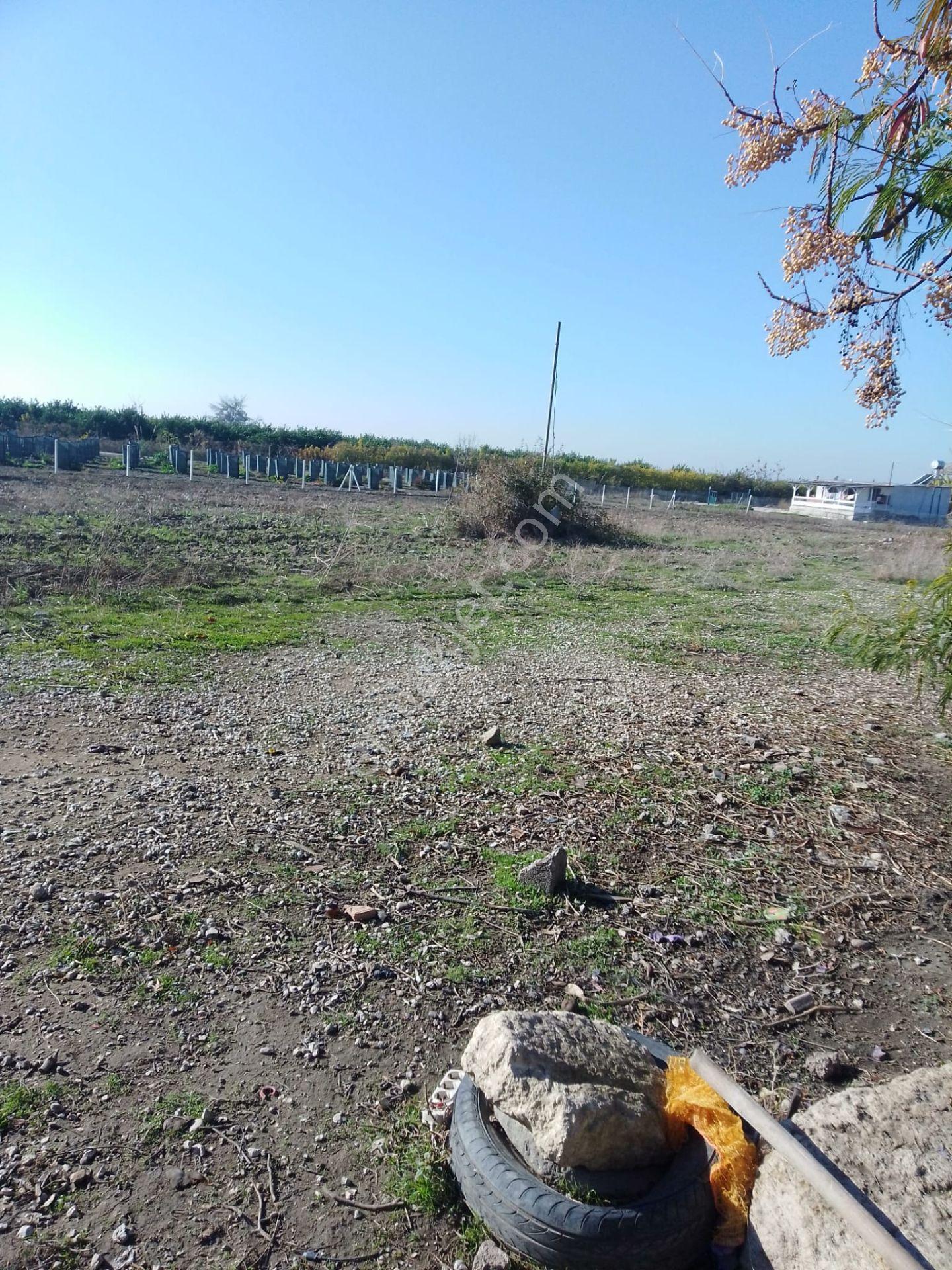 Karataş Yassıveren Mahallesin'de 5.790 M2 Satılık Arsa... - Görsel 8