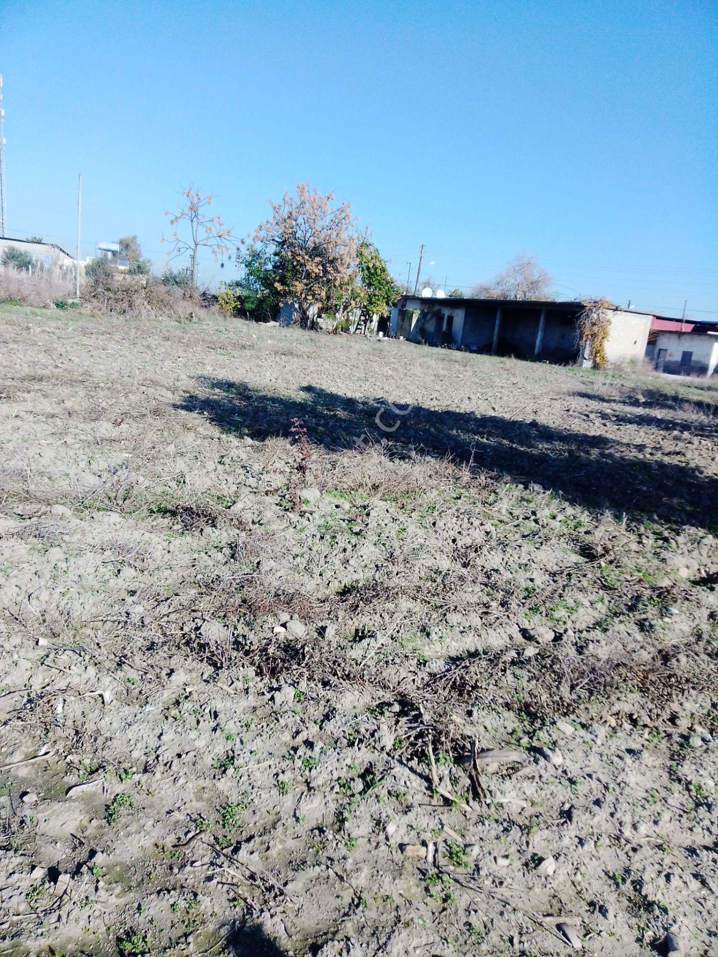 Karataş Yassıveren Mahallesin'de 5.790 M2 Satılık Arsa... - Görsel 10