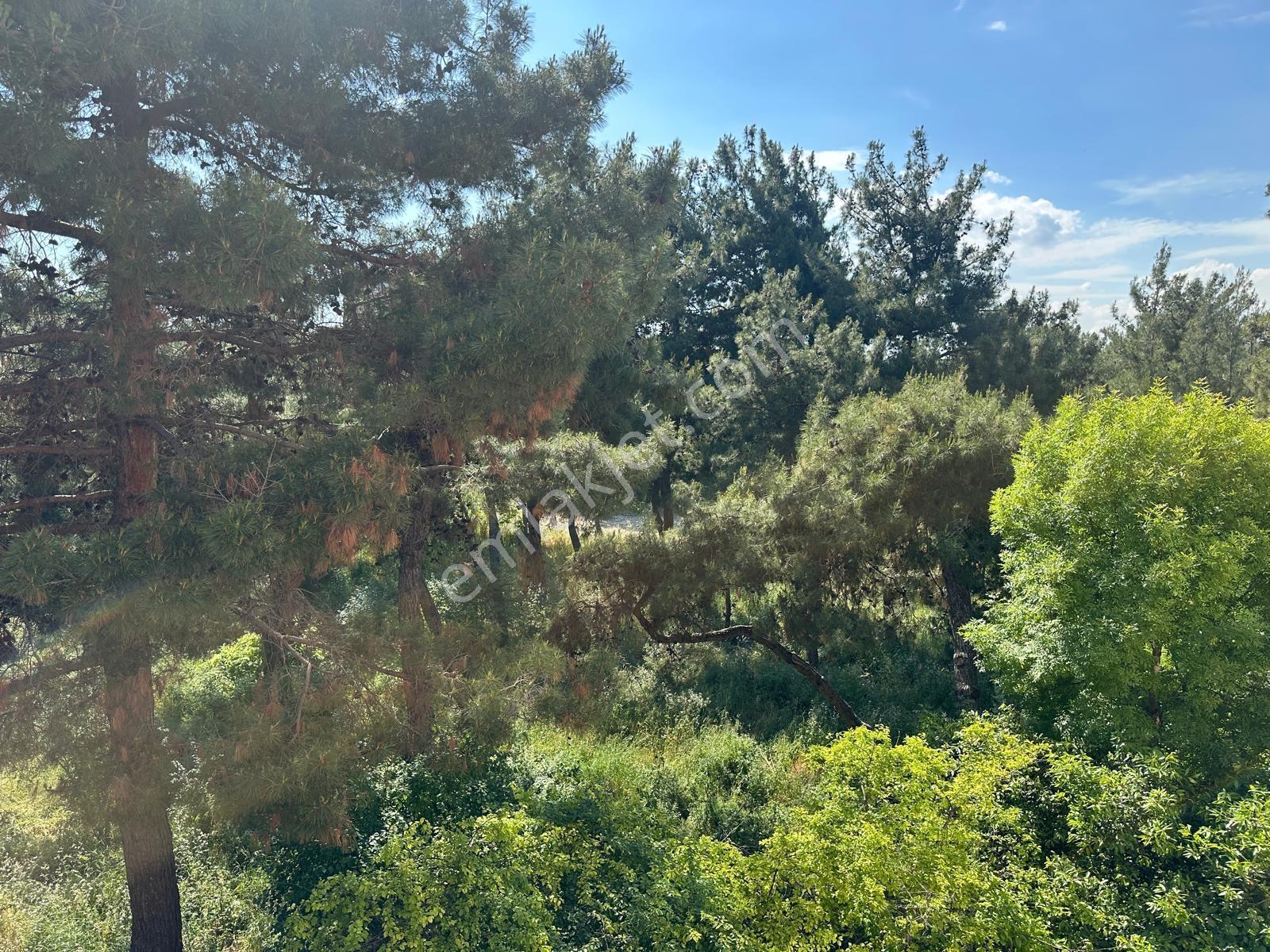 Bakırköy Zuhurat Baba' Da Kombili 150m2 3+1 Kiralık Daire - Görsel 35
