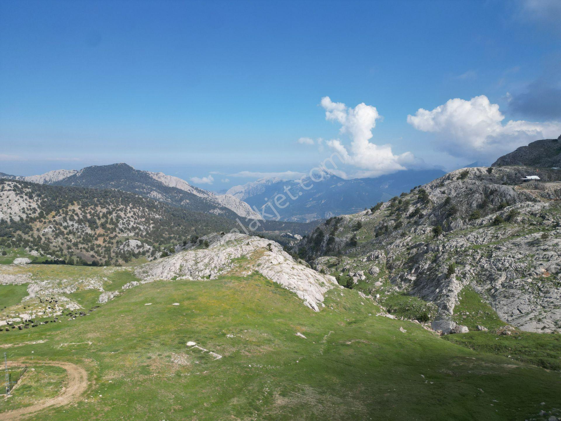 Feslikan Yaylasında 1629m2 Villa İmarlı Arsa! Konyaaltı Çağlarca - Görsel 27