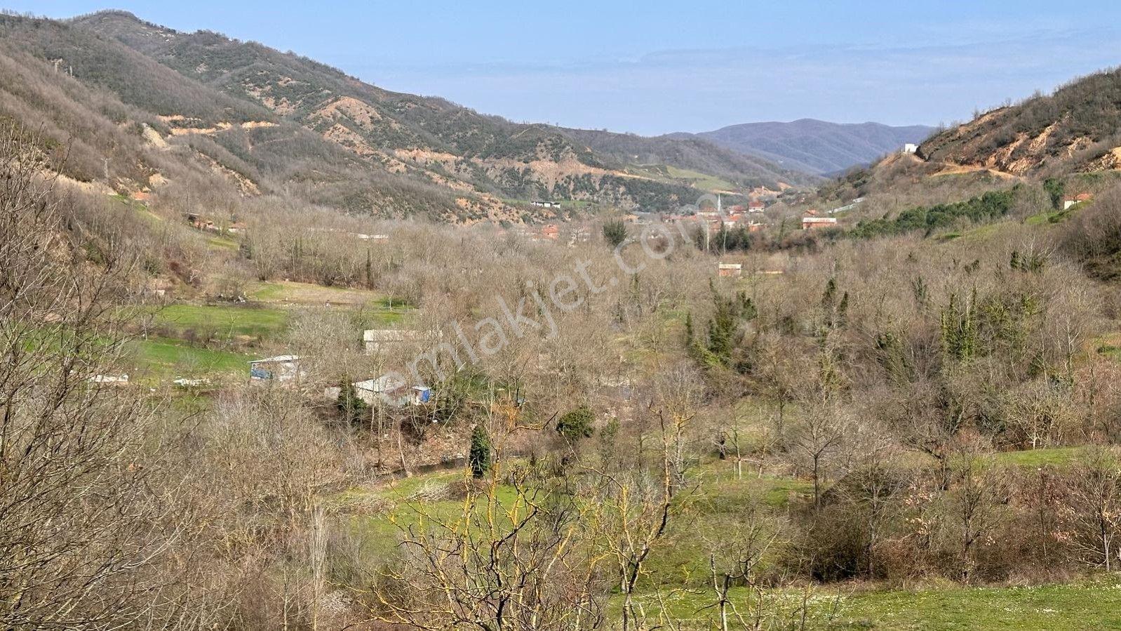 Çanakkale Biga Yolin Di Köyün De Yatırımlık Satılık Tarla - Görsel 6