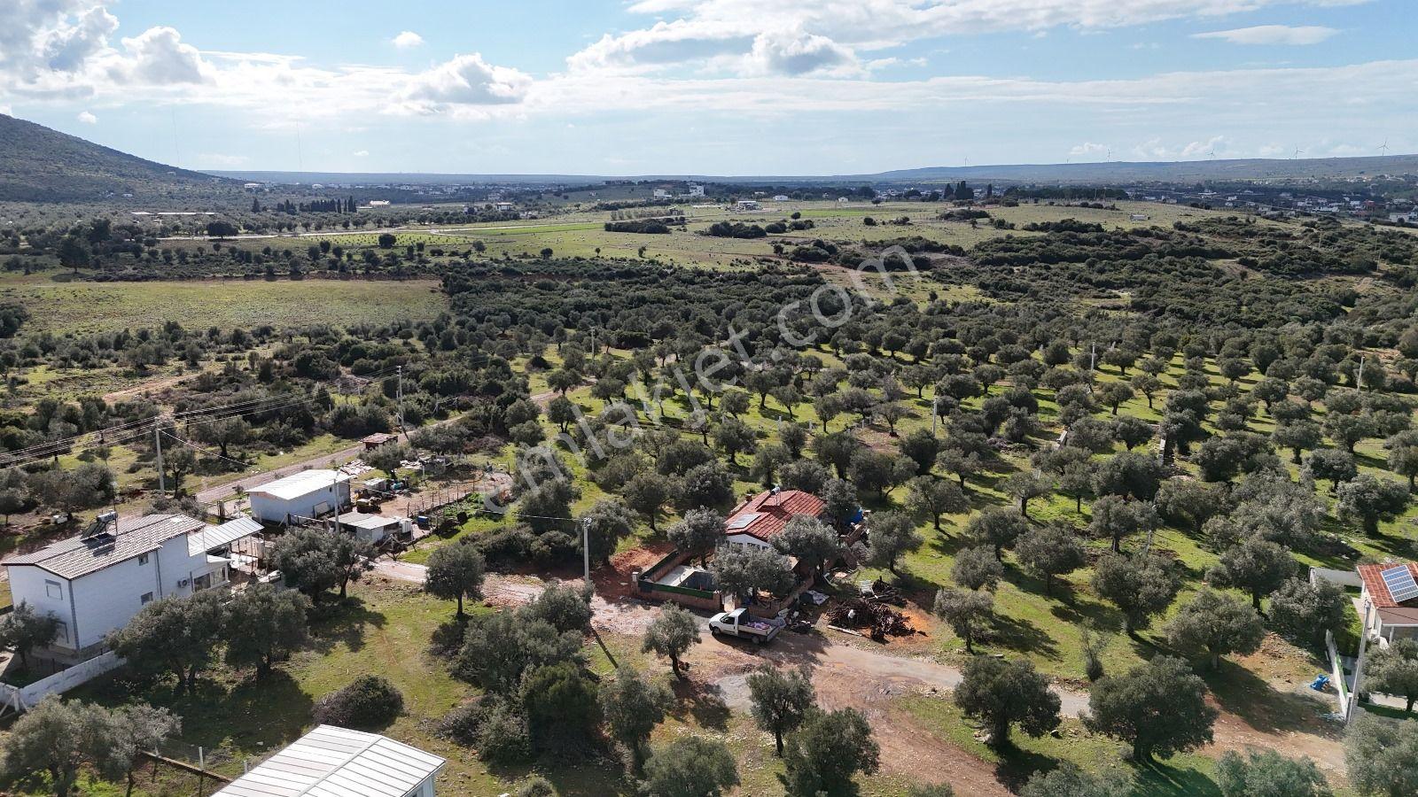 Didim Akyeniköy Kardelen De 20/40 İmarlı 300 M2 Satılık Arsa - Görsel 5