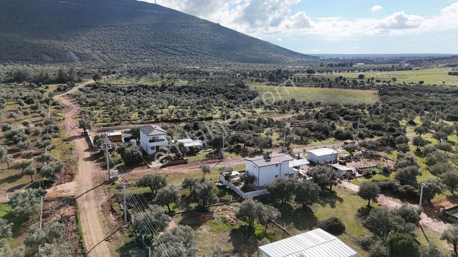 Didim Akyeniköy Kardelen De 20/40 İmarlı 300 M2 Satılık Arsa - Görsel 4