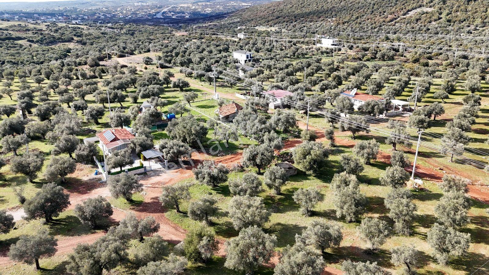 Didim Akyeniköy Kardelen De 20/40 İmarlı 300 M2 Satılık Arsa - Görsel 3