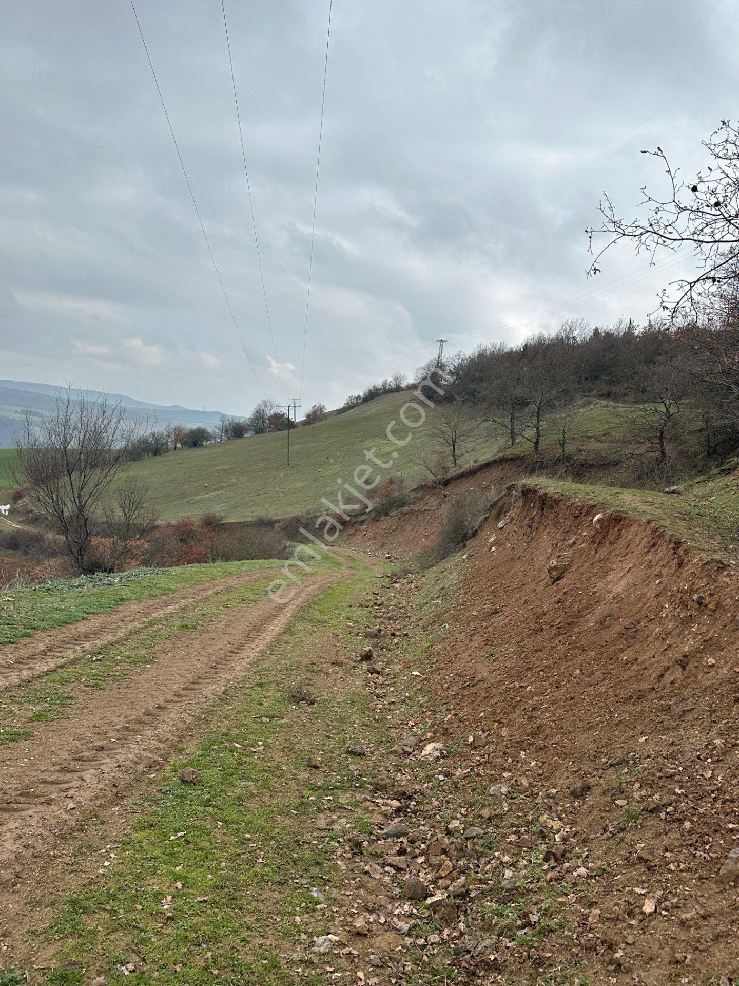 İznik Gölü Yakını Bursa Beypınar Köyü'nde 12dönüm Yola Cephe Yatırımlık Tarla - Görsel 12