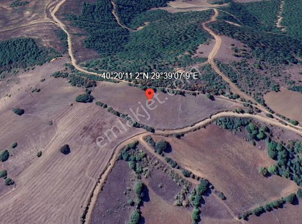 İznik Gölü Yakını Bursa Beypınar Köyü'nde 12dönüm Yola Cephe Yatırımlık Tarla - Görsel 6
