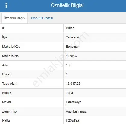 İznik Gölü Yakını Bursa Beypınar Köyü'nde 12dönüm Yola Cephe Yatırımlık Tarla - Görsel 3