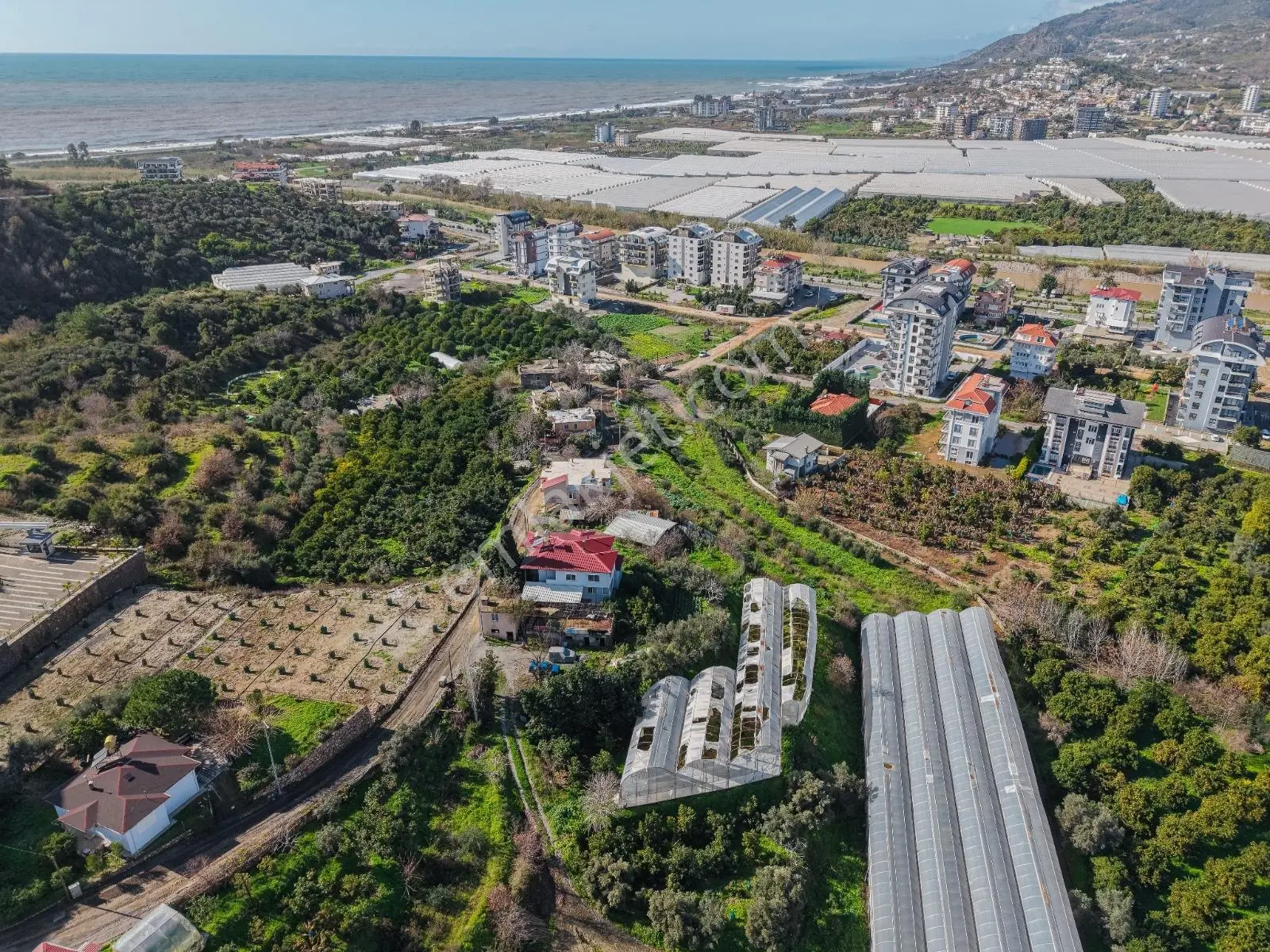 Alanya Demirtaşta İmar Sınırında 5.609 M² Fırsat Tarla - Görsel 3