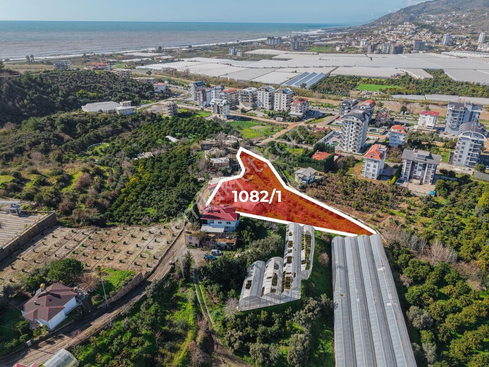 Alanya Demirtaşta İmar Sınırında 5.609 M² Fırsat Tarla