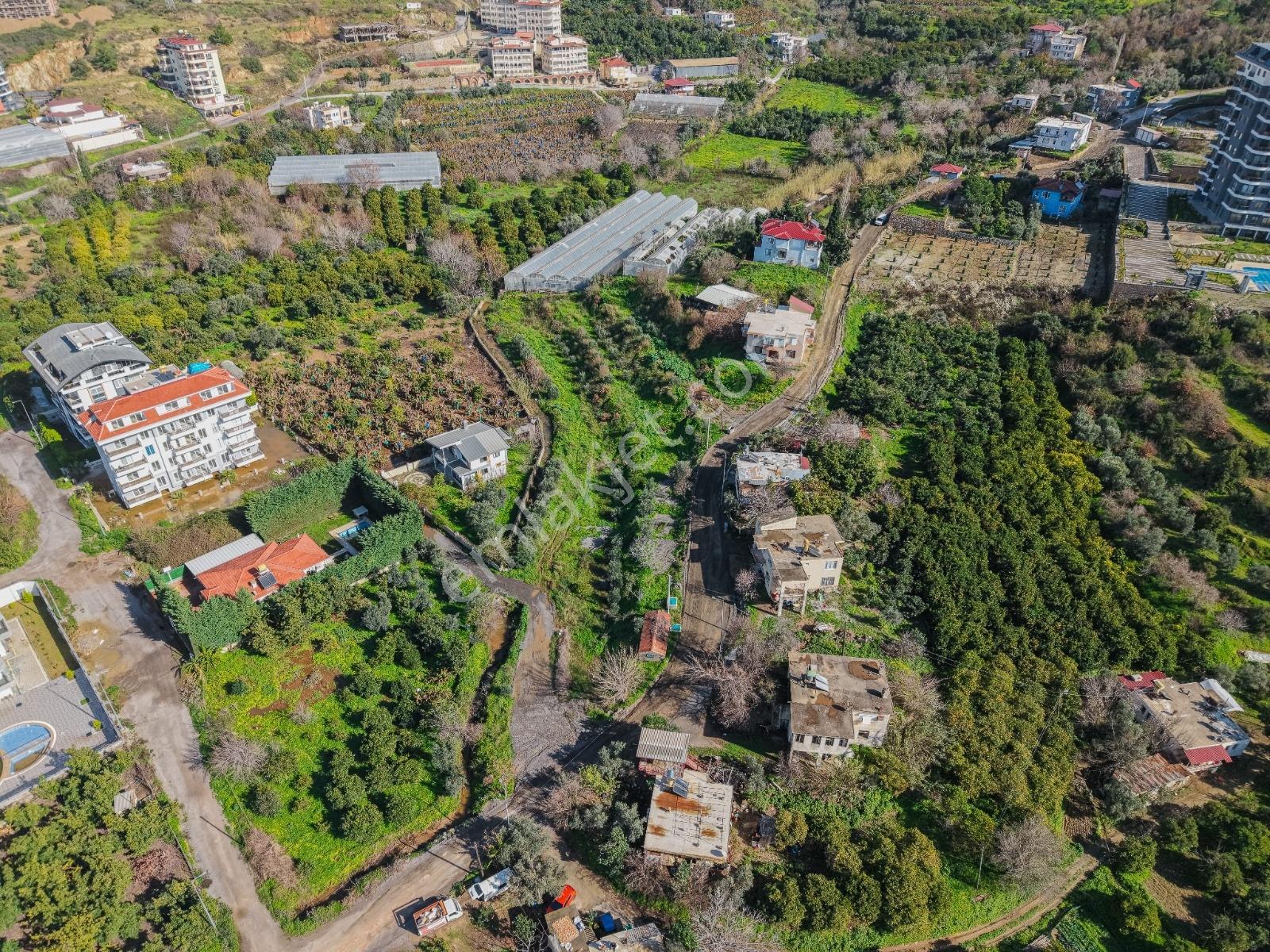 Alanya Demirtaşta İmar Sınırında 5.609 M² Fırsat Tarla - Görsel 10
