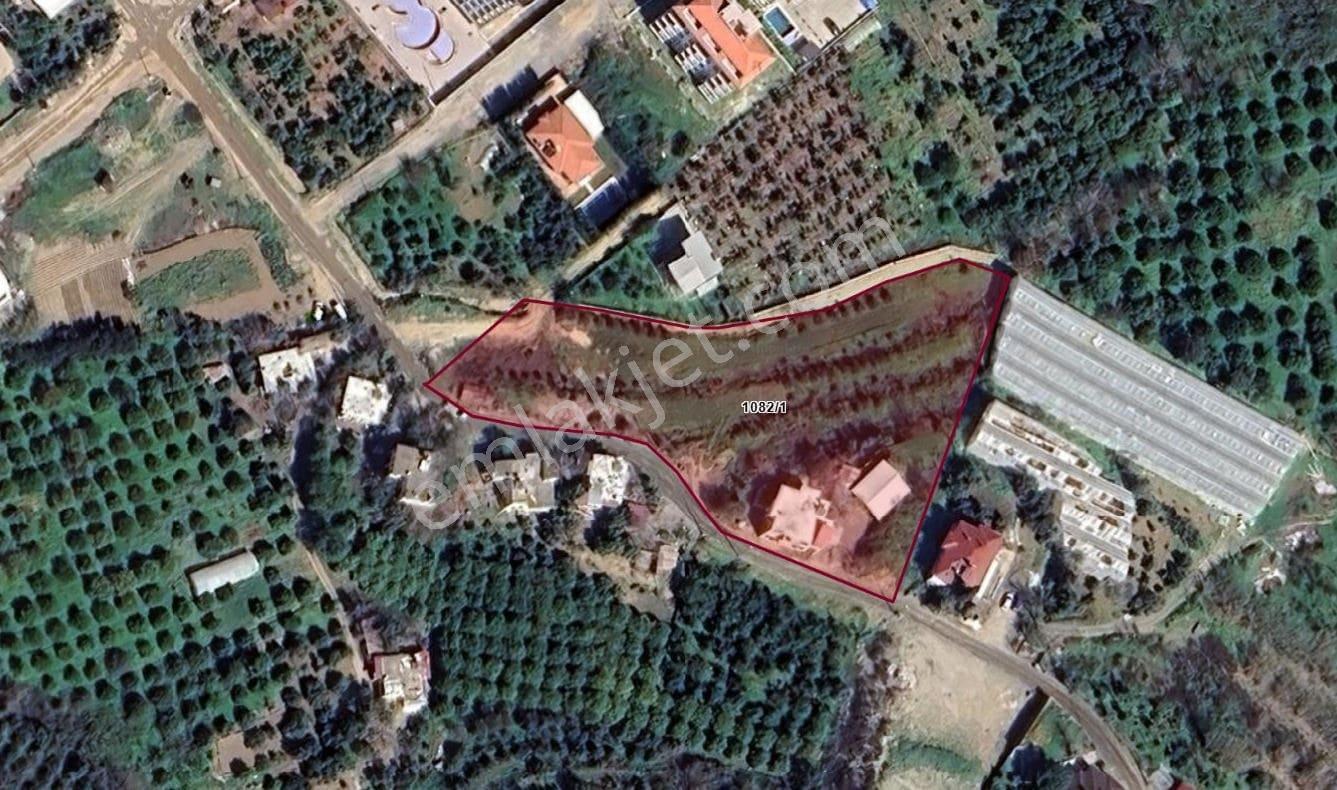 Alanya Demirtaşta İmar Sınırında 5.609 M² Fırsat Tarla - Görsel 7