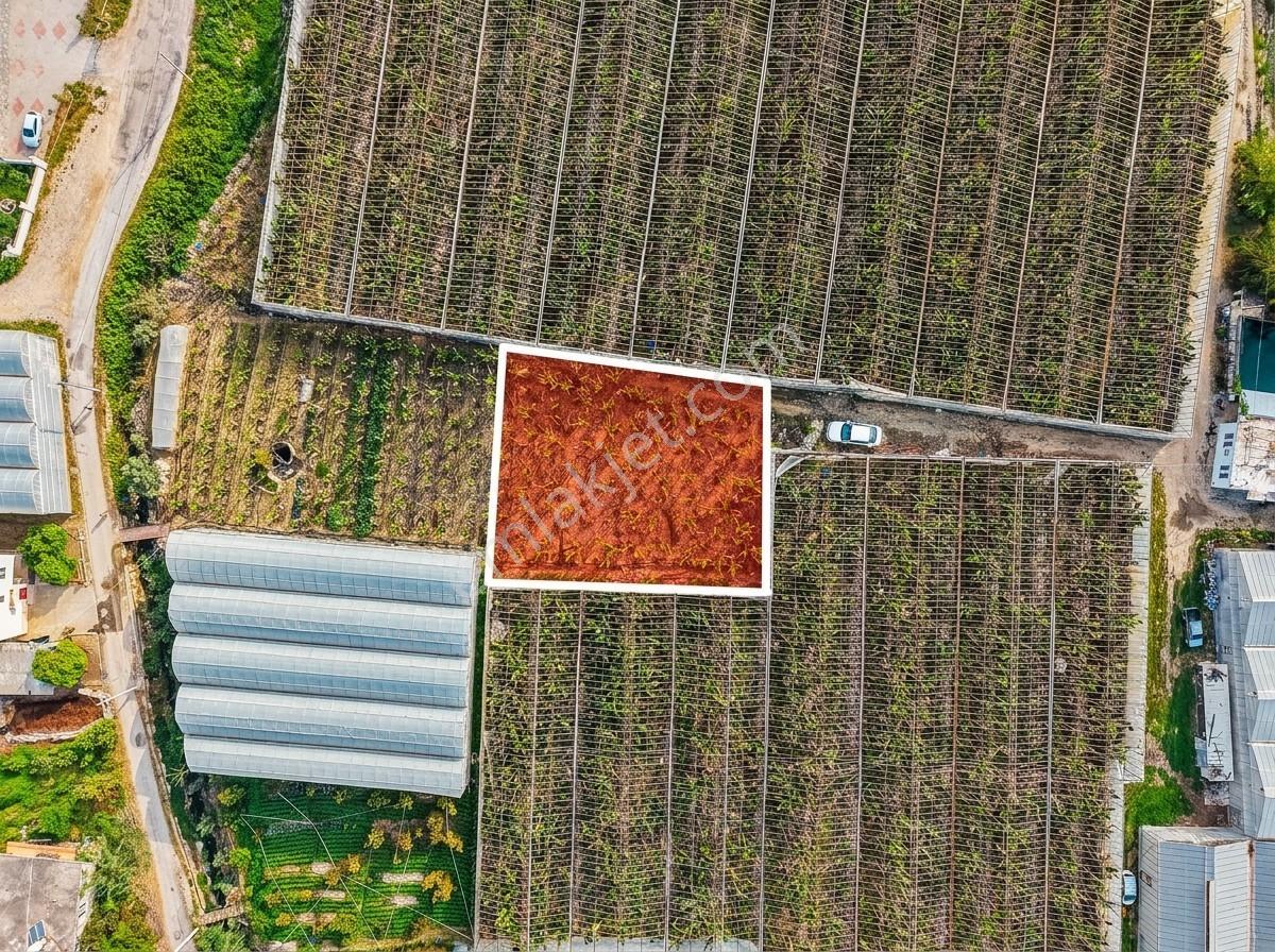 Kargıcak Denize 500metre 791m2 Tarla Yatırım Fırsatı - Görsel 5