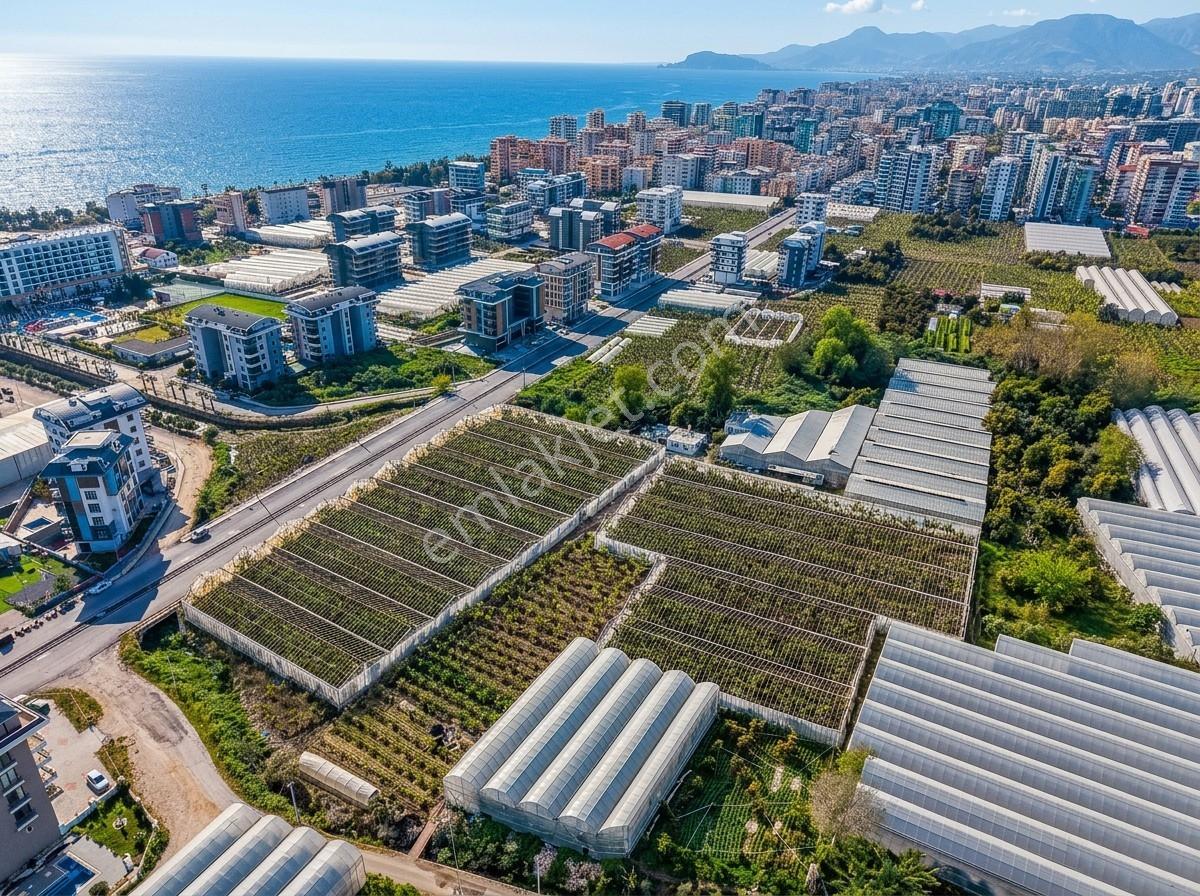Kargıcak Denize 500metre 791m2 Tarla Yatırım Fırsatı - Görsel 7