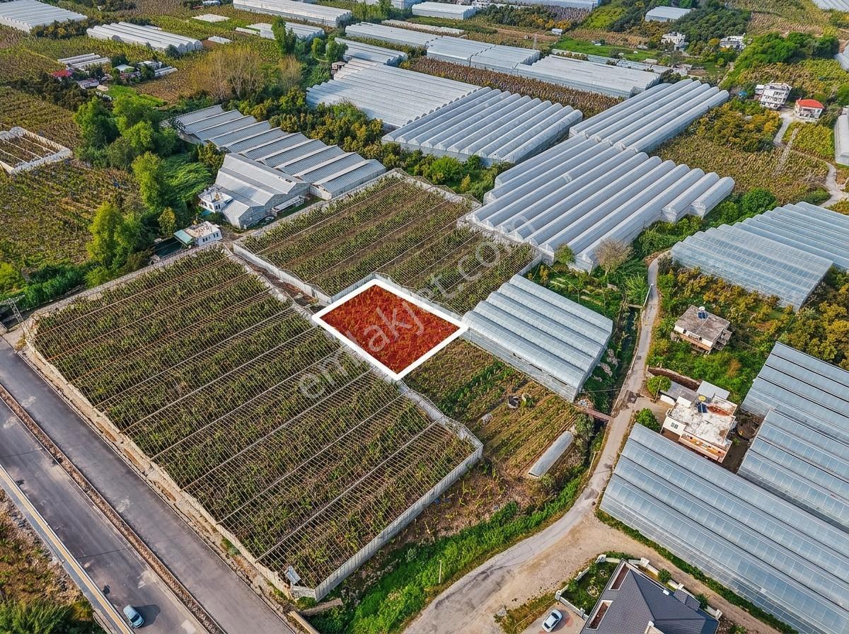 Kargıcak Denize 500metre 791m2 Tarla Yatırım Fırsatı - Görsel 6