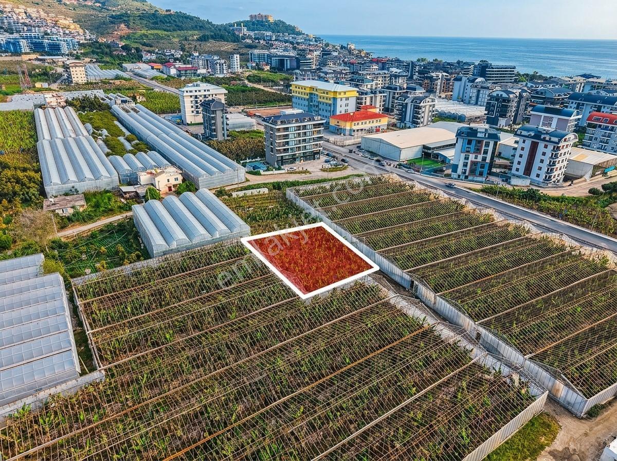 Kargıcak Denize 500metre 791m2 Tarla Yatırım Fırsatı - Görsel 4