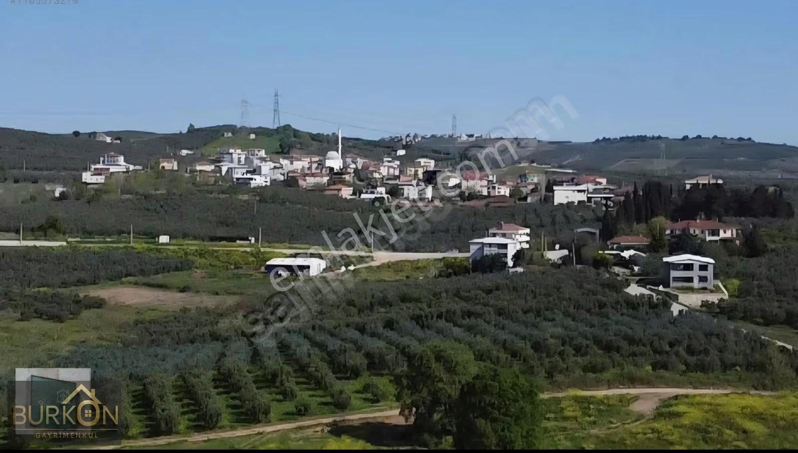 Bursa Mudanya Mürselde Fırsat Arazi - Görsel 21