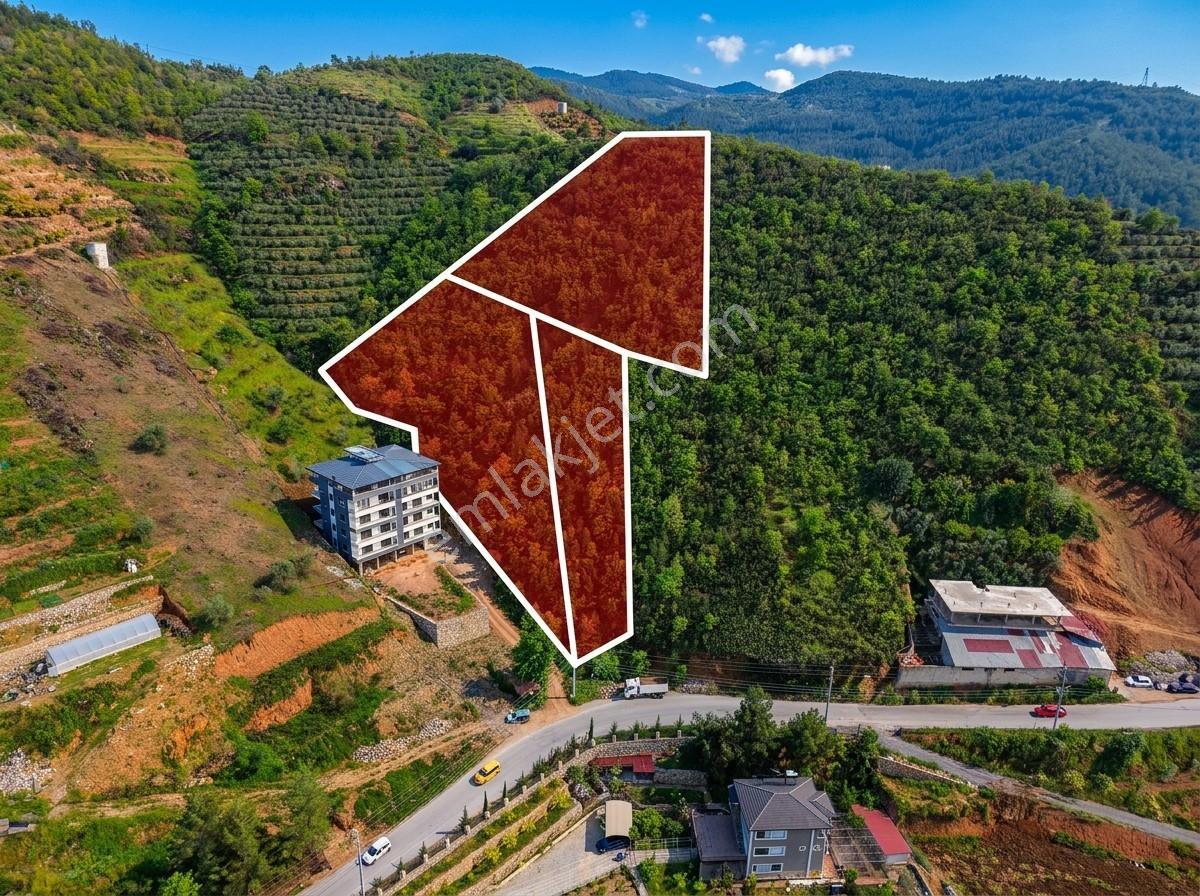 Alanya Çamlıca'da Ev/bina Yapımına Uygun Satılık Tarla