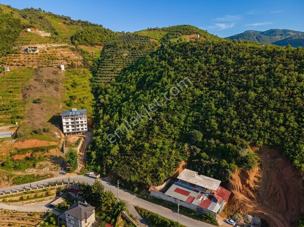 Alanya Çamlıca'da Ev/bina Yapımına Uygun Satılık Tarla - Görsel 4