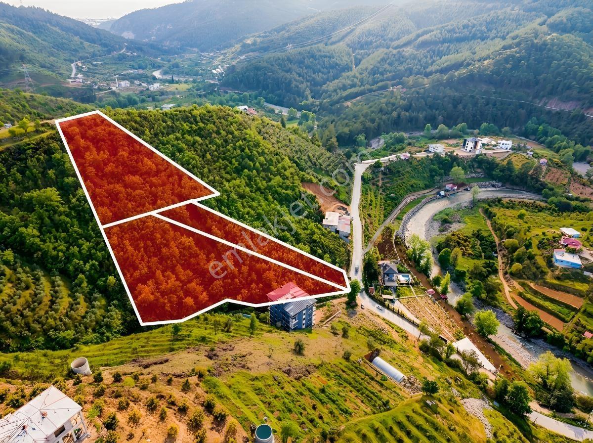 Alanya Çamlıca'da Ev/bina Yapımına Uygun Satılık Tarla - Görsel 3