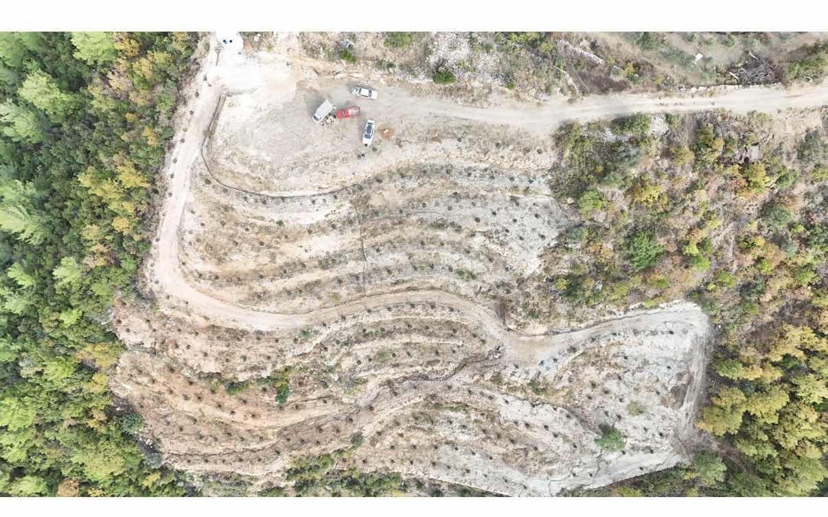 Alanya Türktaşta 10.293 M² Satılık Meyve Bahçesi - Görsel 6
