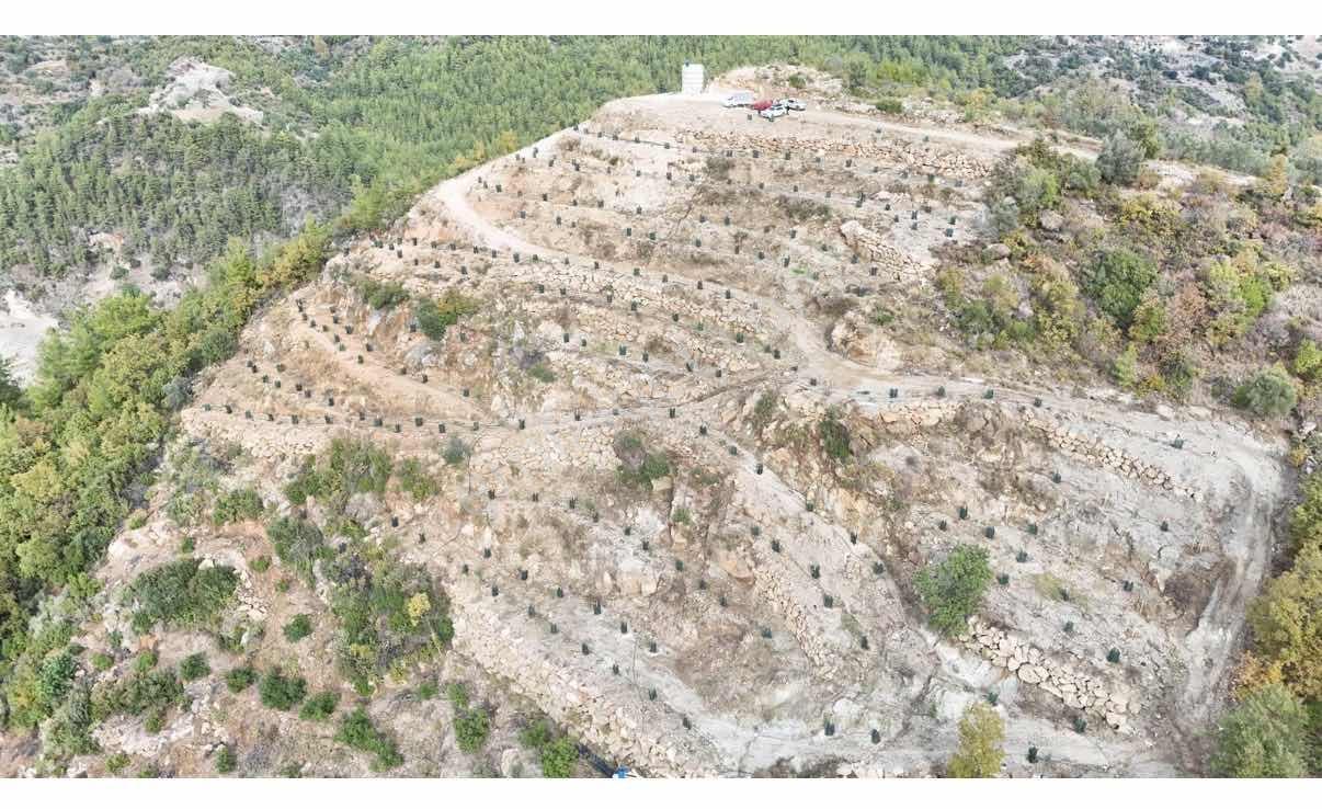 Alanya Türktaşta 10.293 M² Satılık Meyve Bahçesi