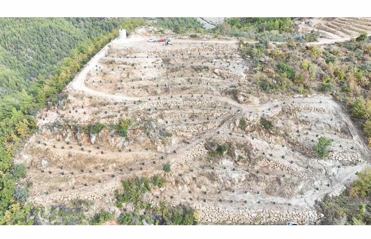 Alanya Türktaşta 10.293 M² Satılık Meyve Bahçesi - Görsel 3