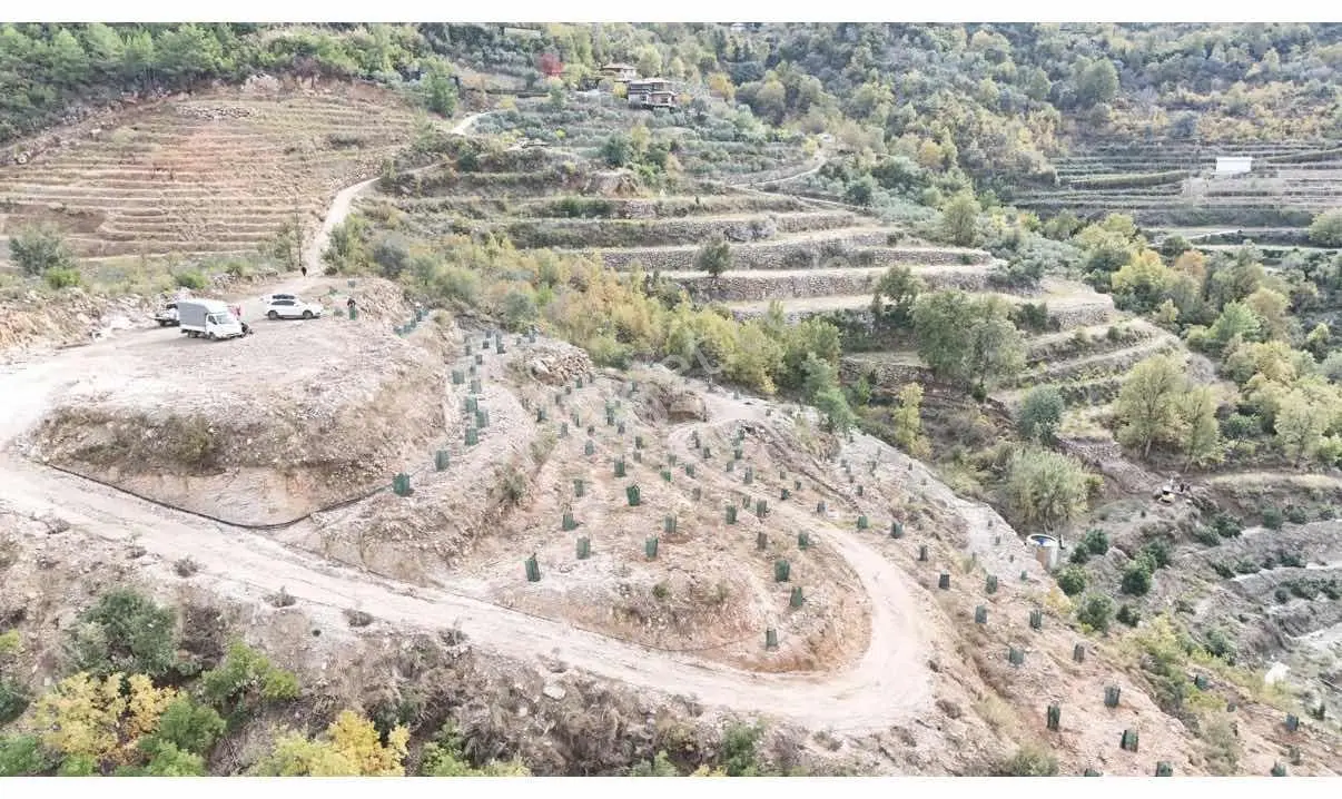 Alanya Türktaşta 10.293 M² Satılık Meyve Bahçesi - Görsel 2
