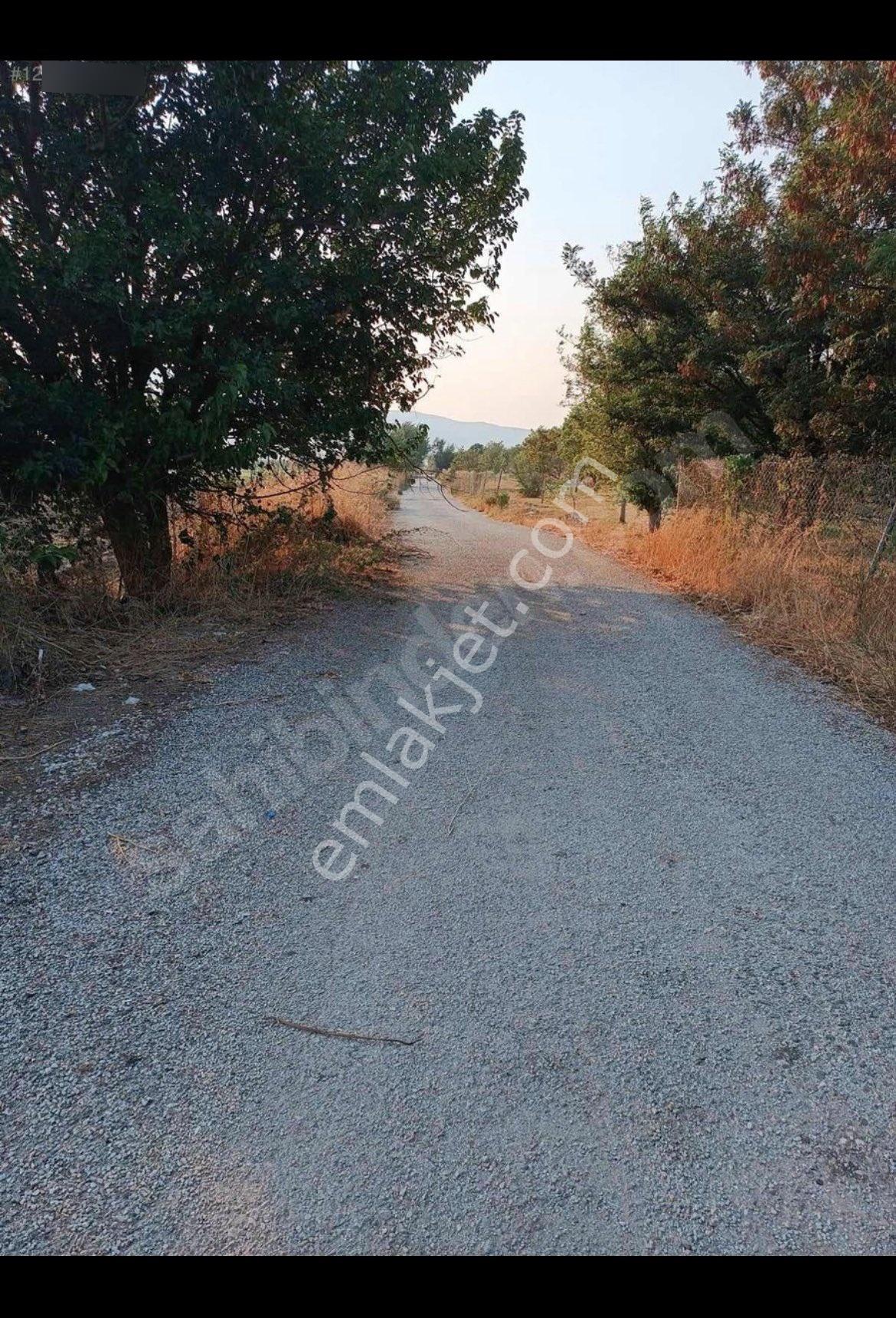 Torbalı Yeniköy Satılık Tarla Kupon Yer - Görsel 4