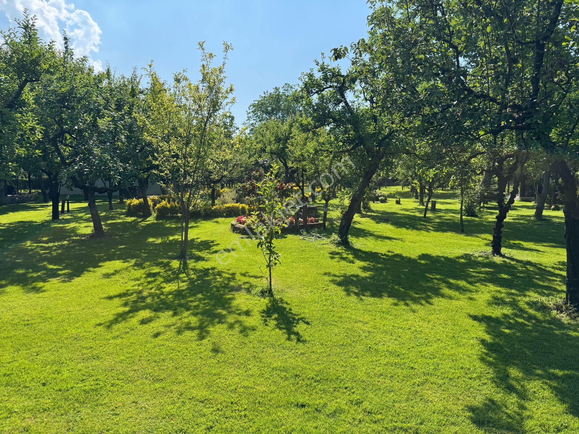 Remax Klas Fatih Çakar’dan Kırkpınar’da Kiralık Eşyalı Ve Mobilyalı Villa… - Görsel 6