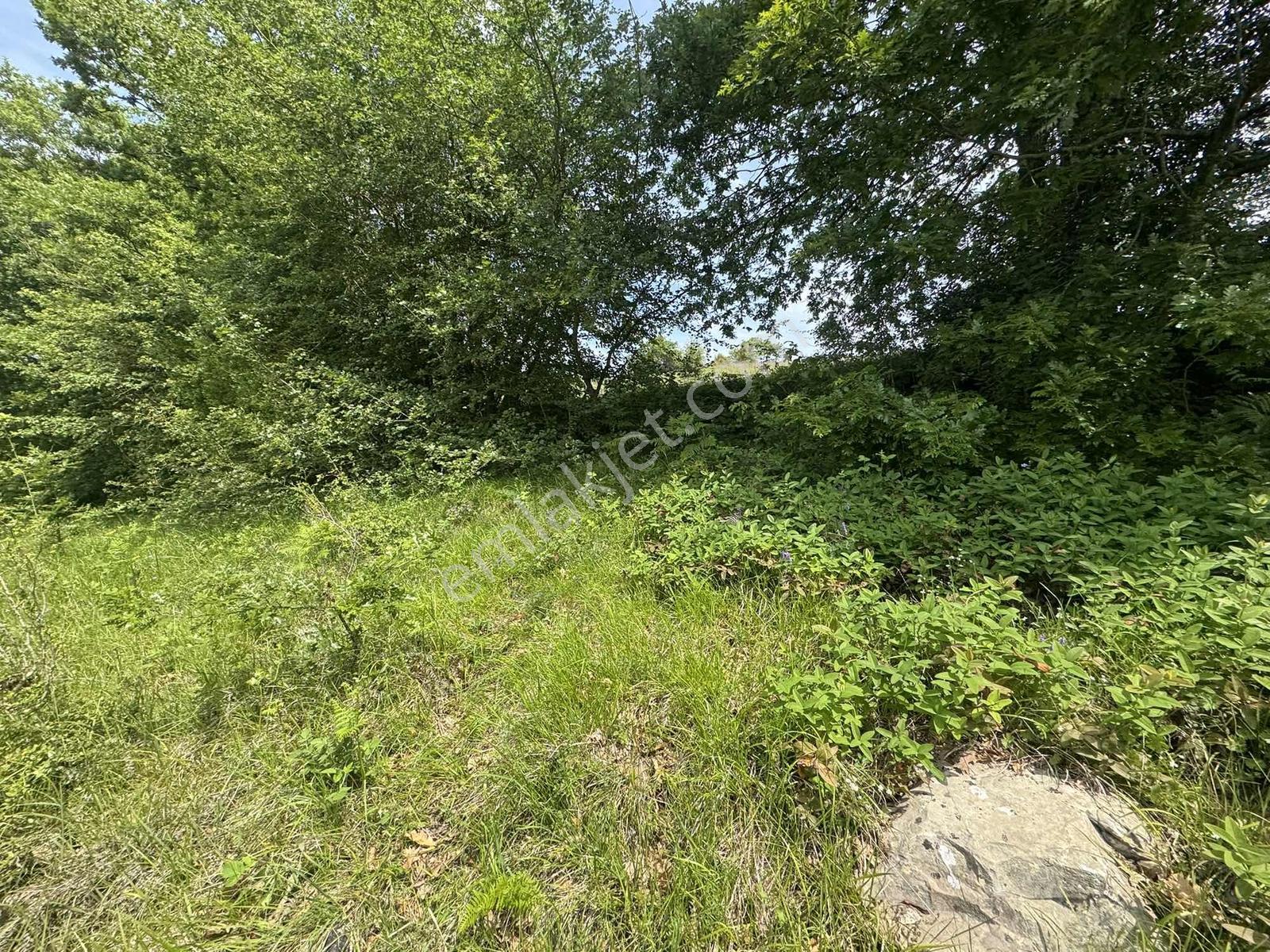 Kandıra Çalçada Satılık Kocaelide 1.212 M2 Arsa - Görsel 14