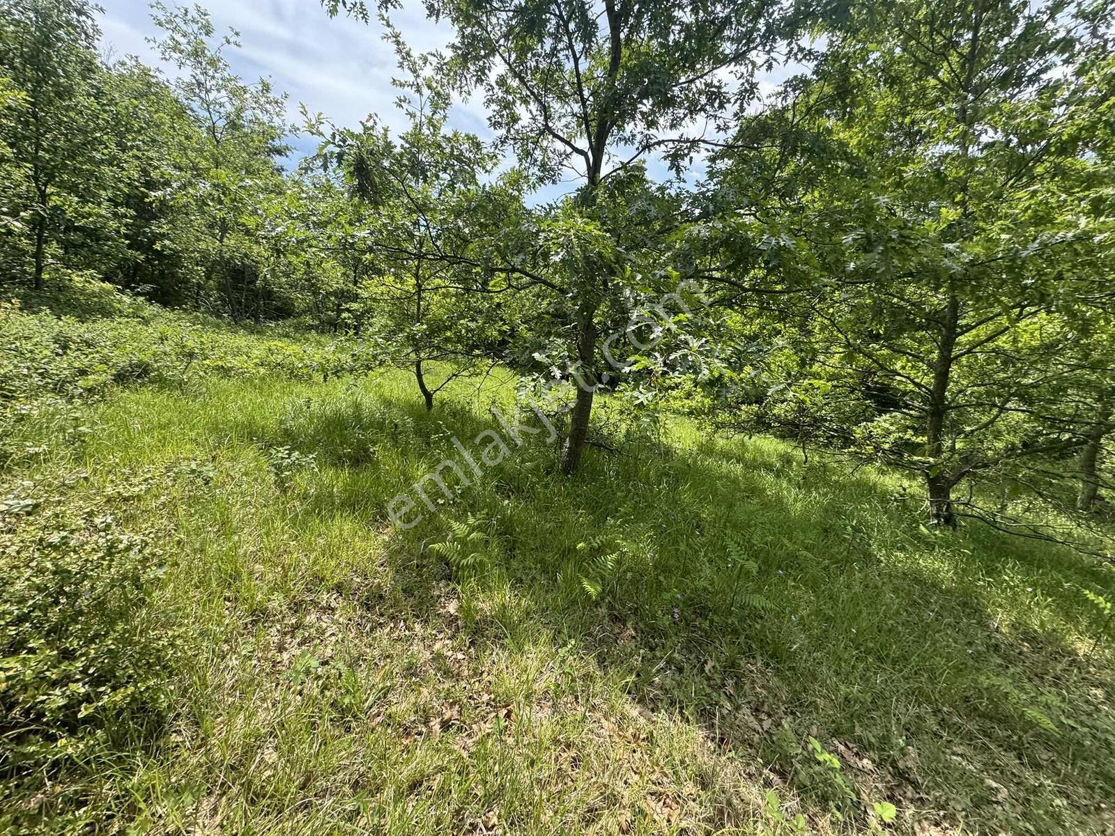 Kandıra Çalçada Satılık Kocaelide 1.212 M2 Arsa - Görsel 18