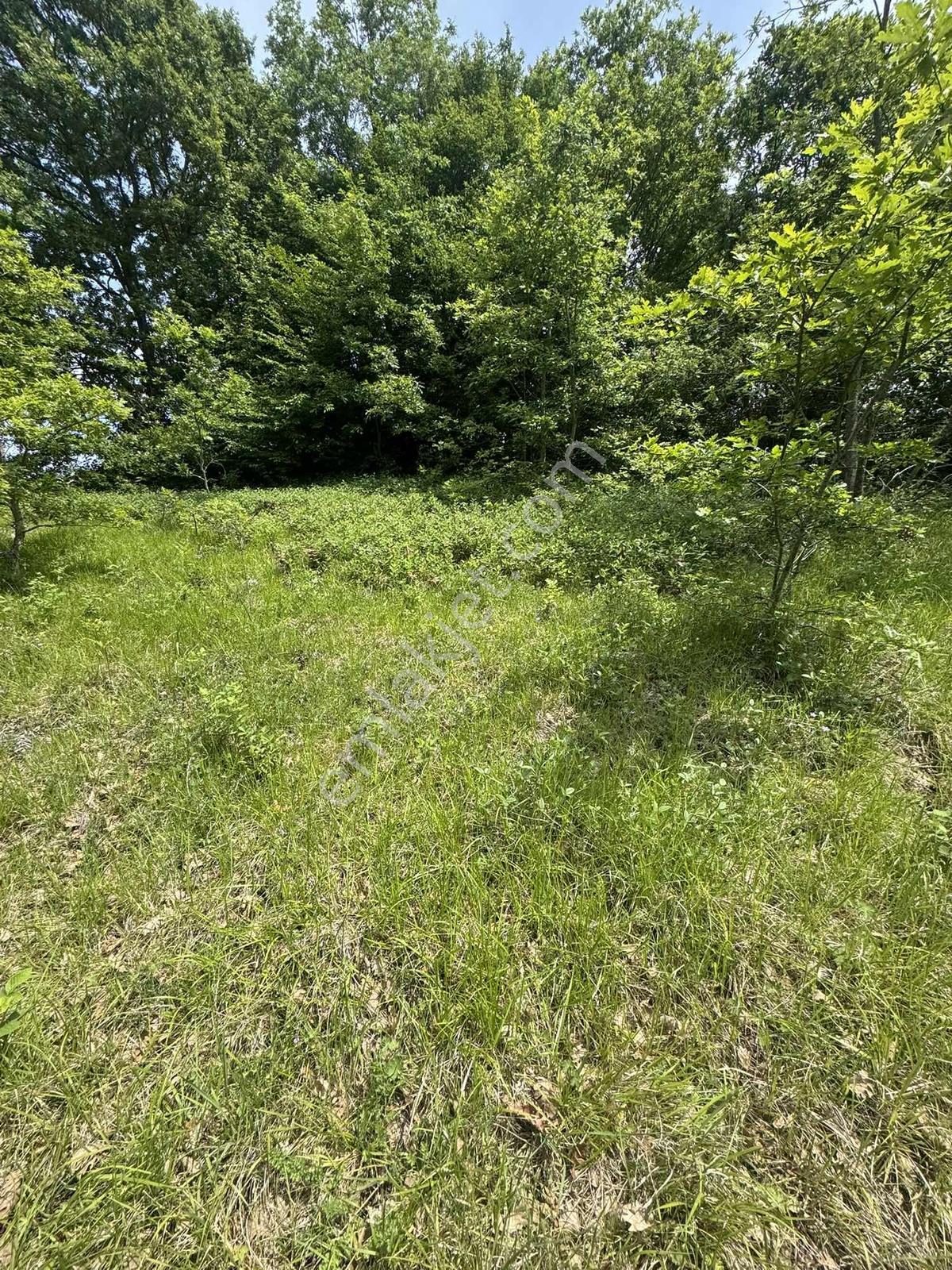 Kandıra Çalçada Satılık Kocaelide 1.212 M2 Arsa - Görsel 4