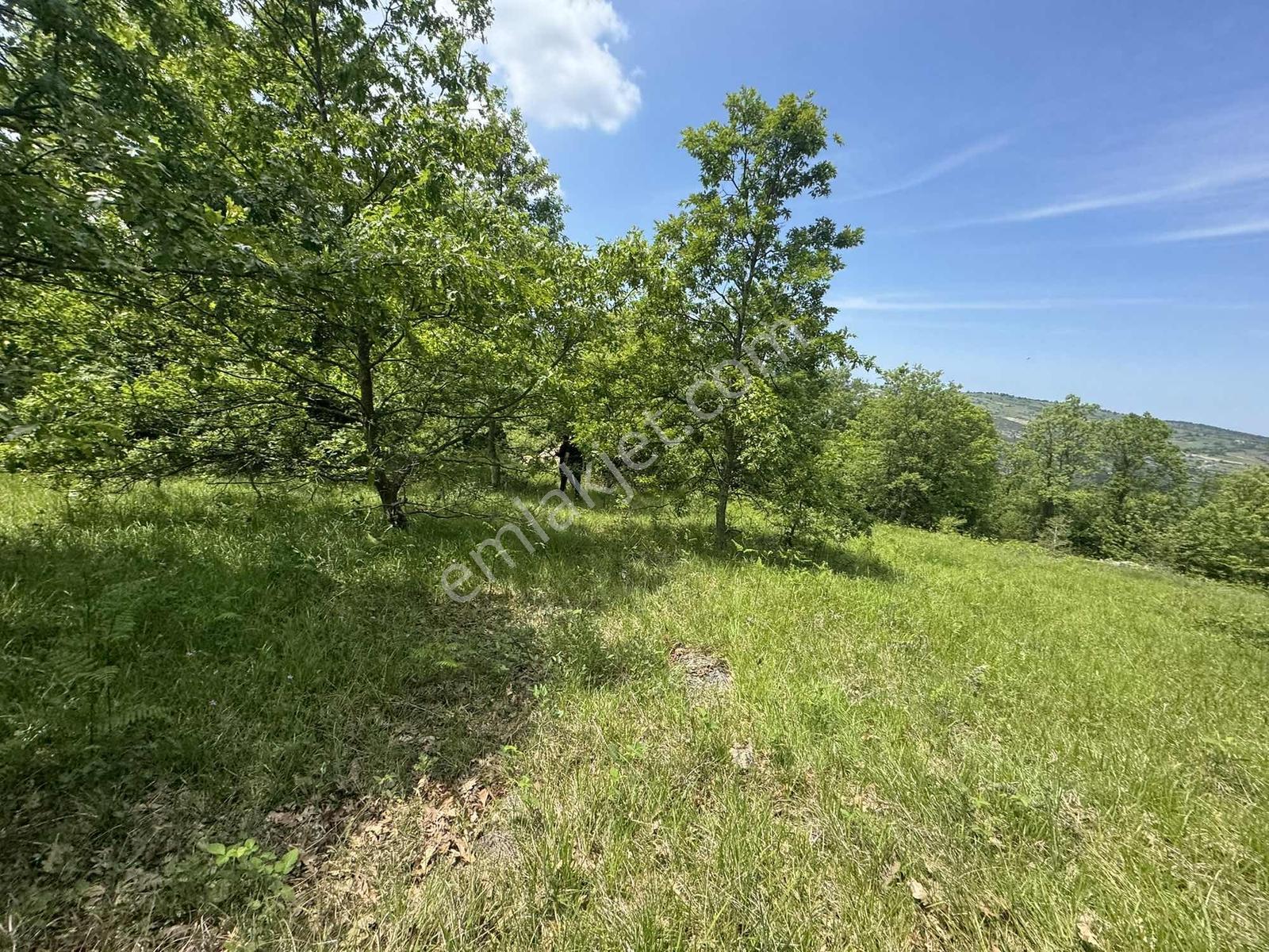 Kandıra Çalçada Satılık Kocaelide 1.212 M2 Arsa - Görsel 5